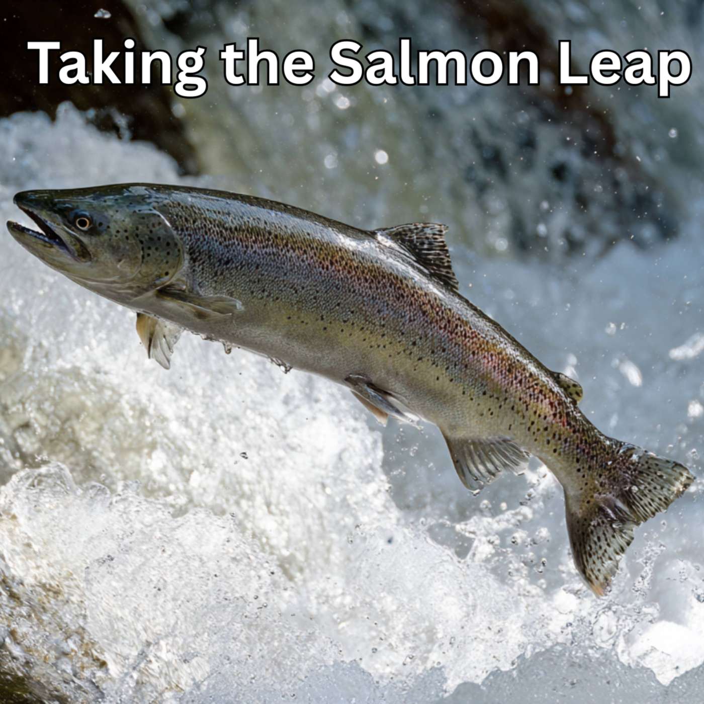 Day 332 - Taking the Salmon Leap episode artwork