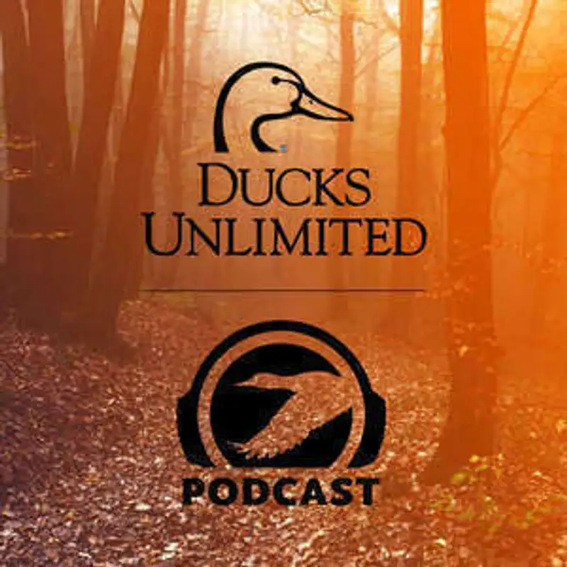 Ep. 522 – Uncovering Haunting Tales: Ghosts, Ghouls, and Goblins; feat. Expanded Perspectives Podcast