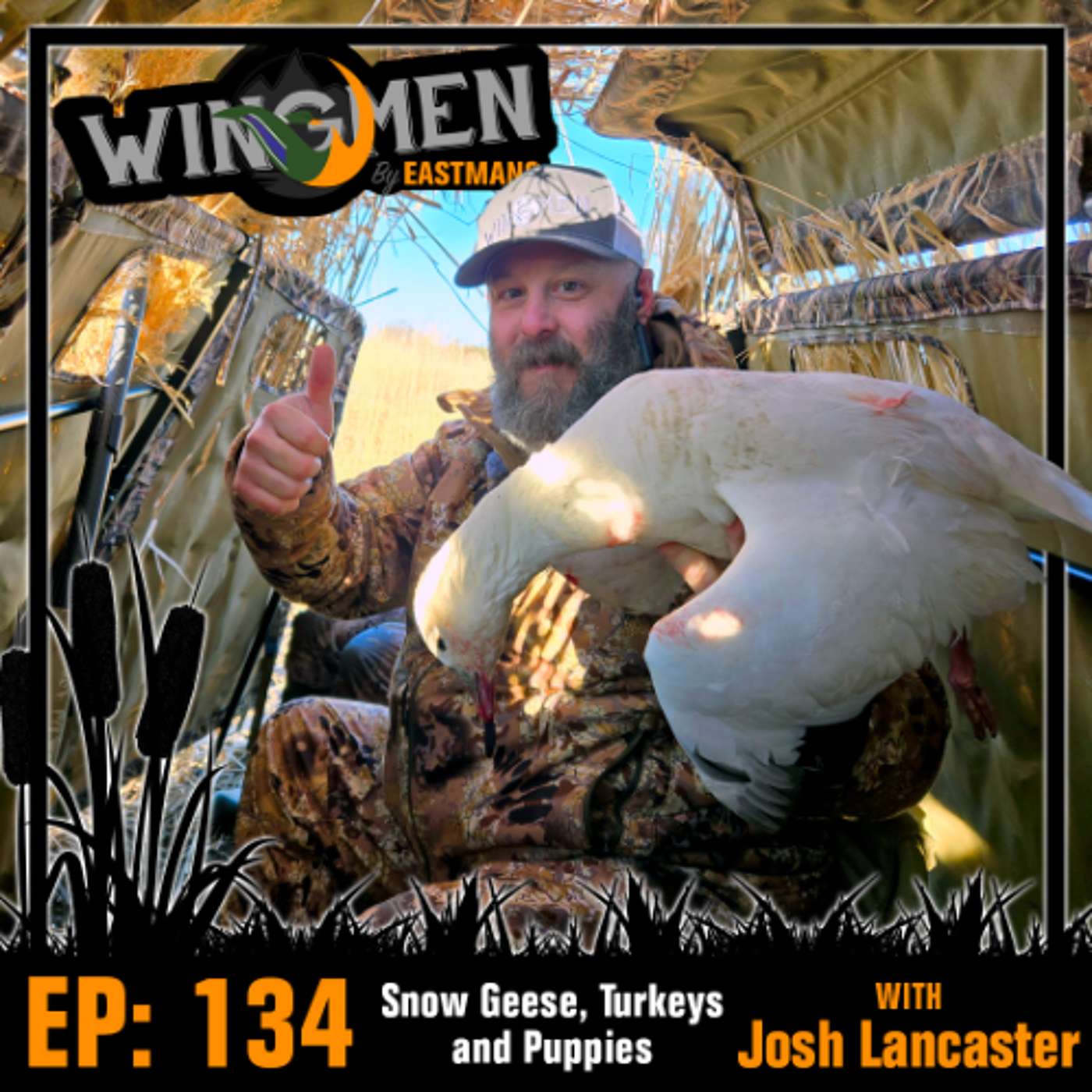 Wingmen EP 134: Snow Geese, Turkeys and Puppies episode artwork