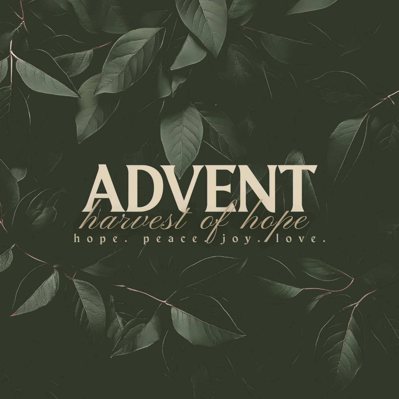 Harvest of Hope || Christmas Eve - Better Than We Think || 12.24.25 episode artwork