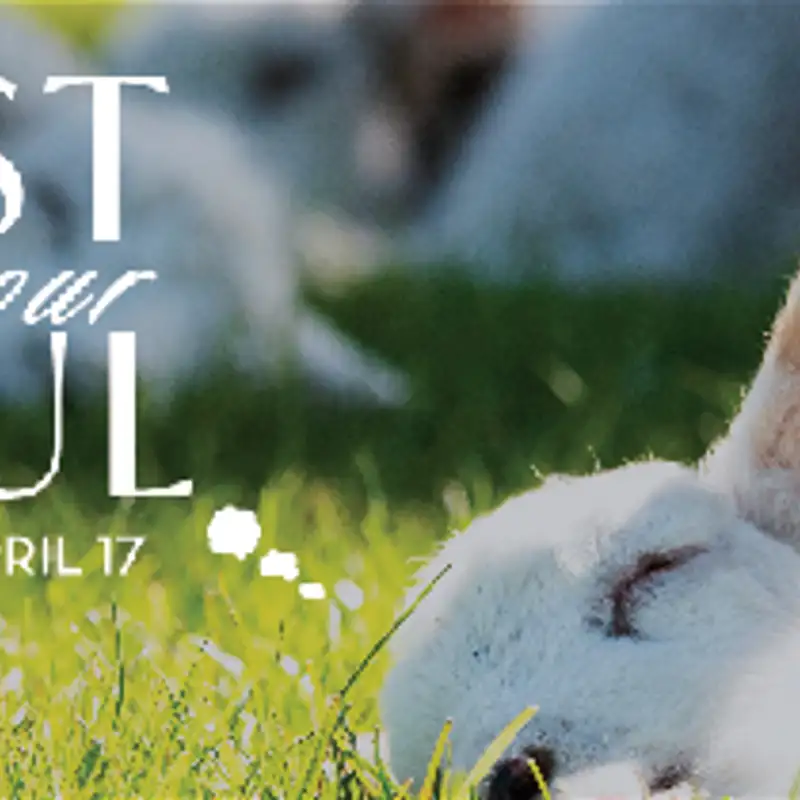 You can rest because you are innocent - Pastor Matt Clausen