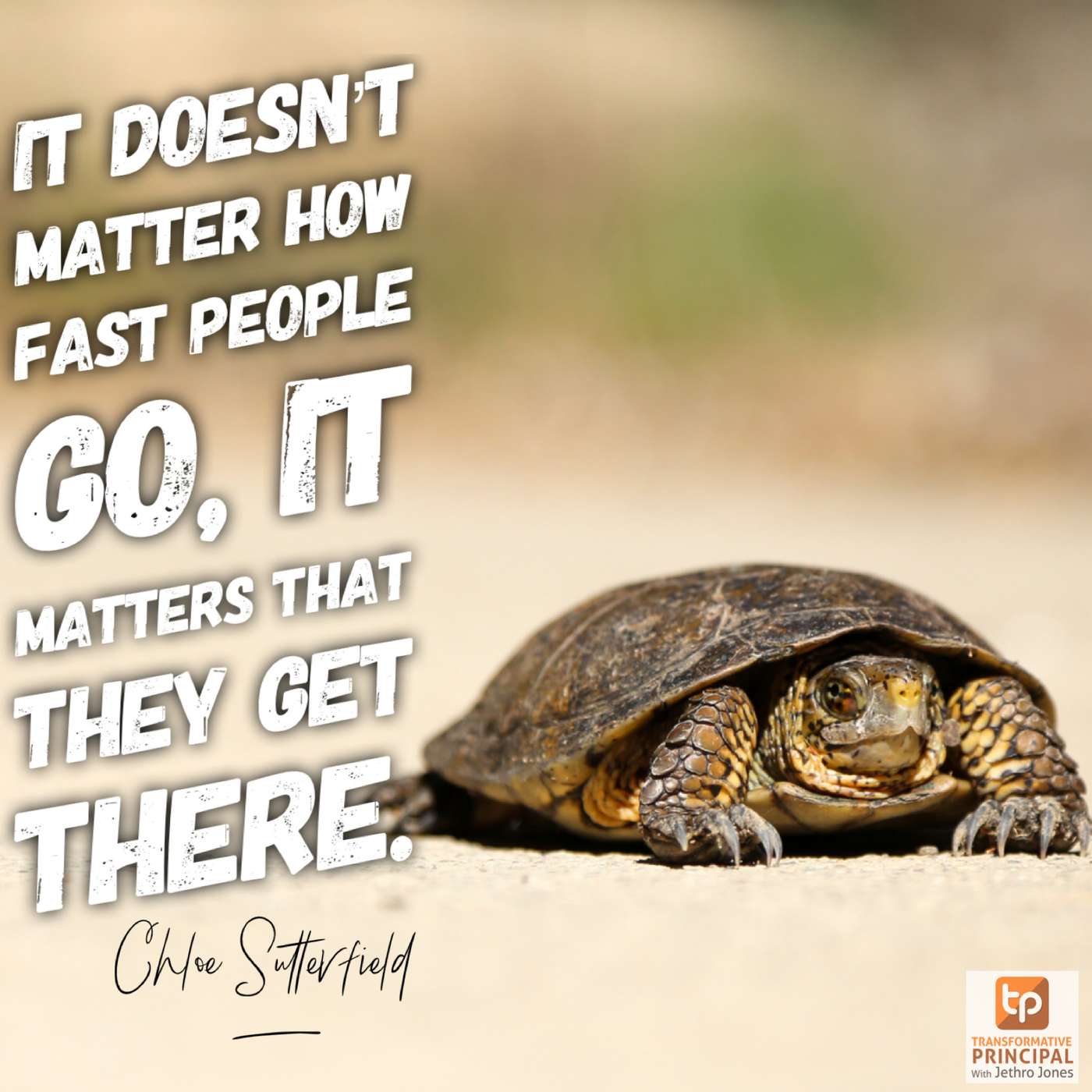 Transformative Principal