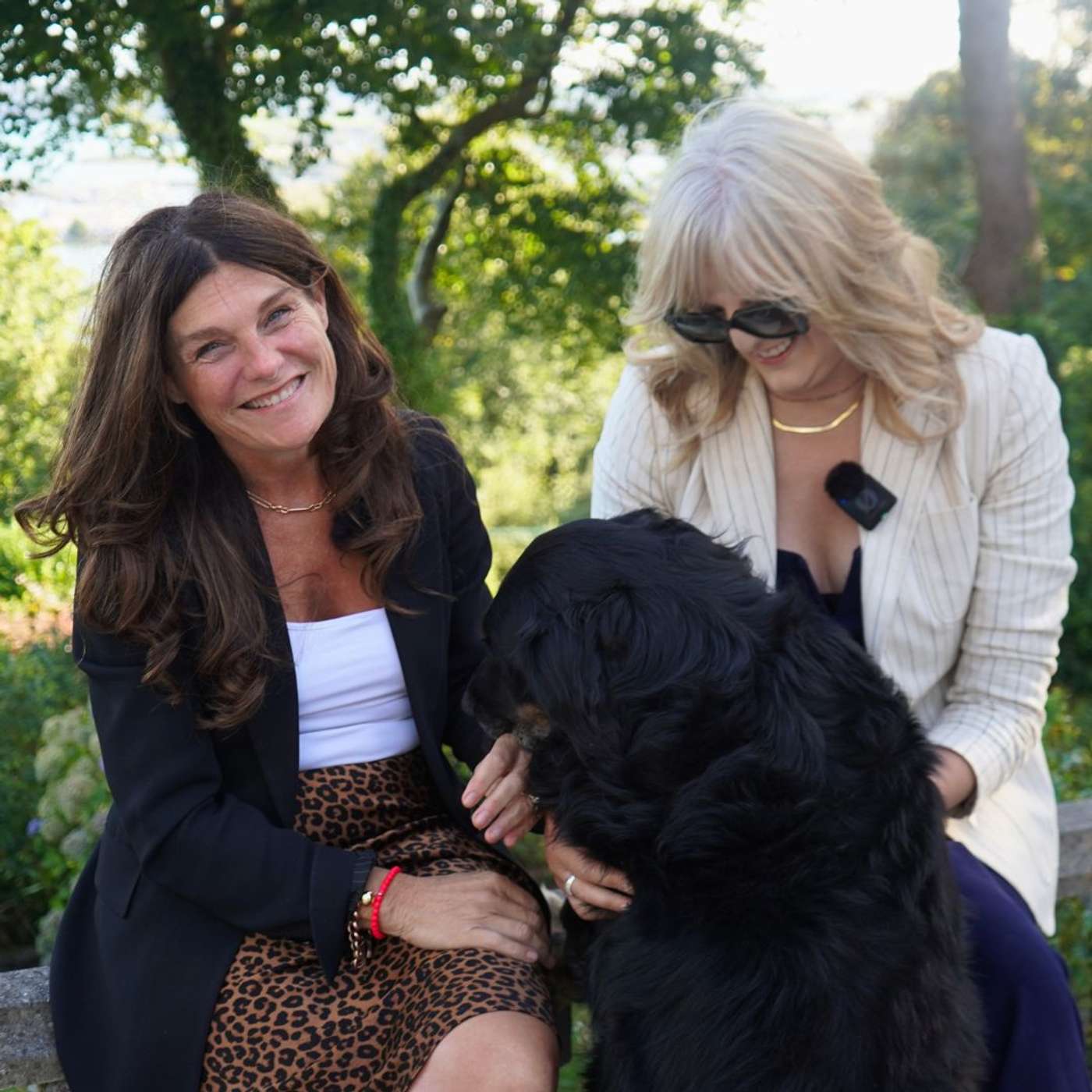 Johanna Murphy & Sons Johanna Murphy & Sons