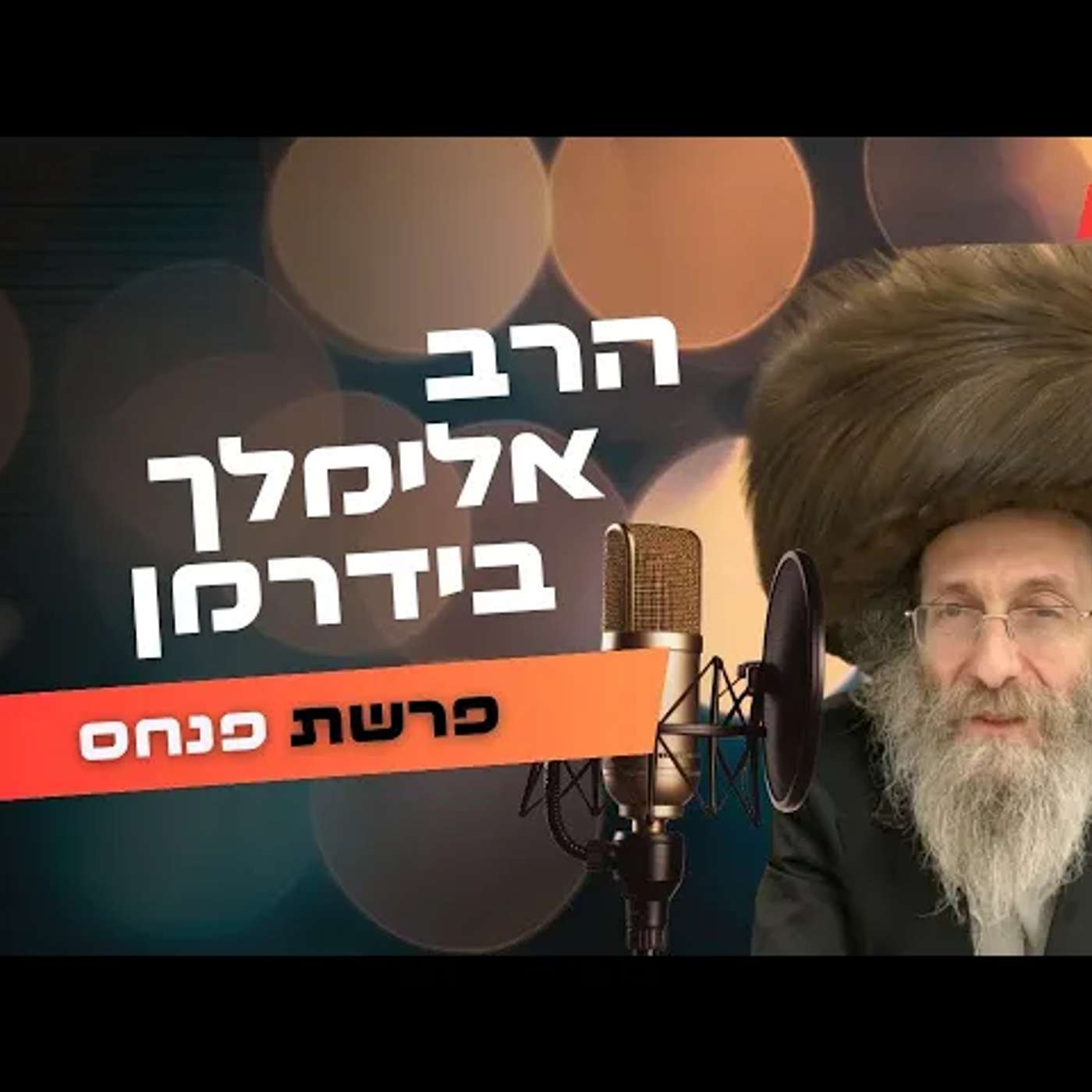 הרב אלימלך בידרמן • פרשת פנחס תשפ''ה | עלונימייל