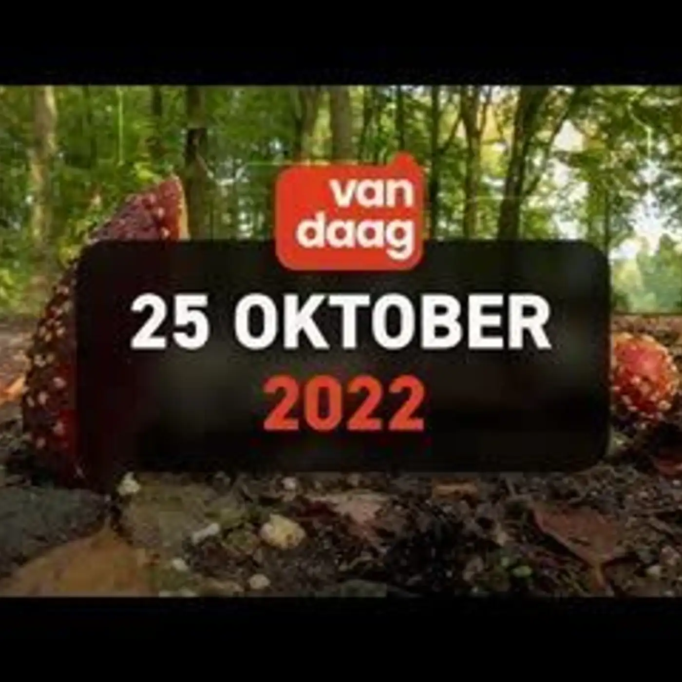 1Twente Vandaag van dinsdag 25 oktober 2022