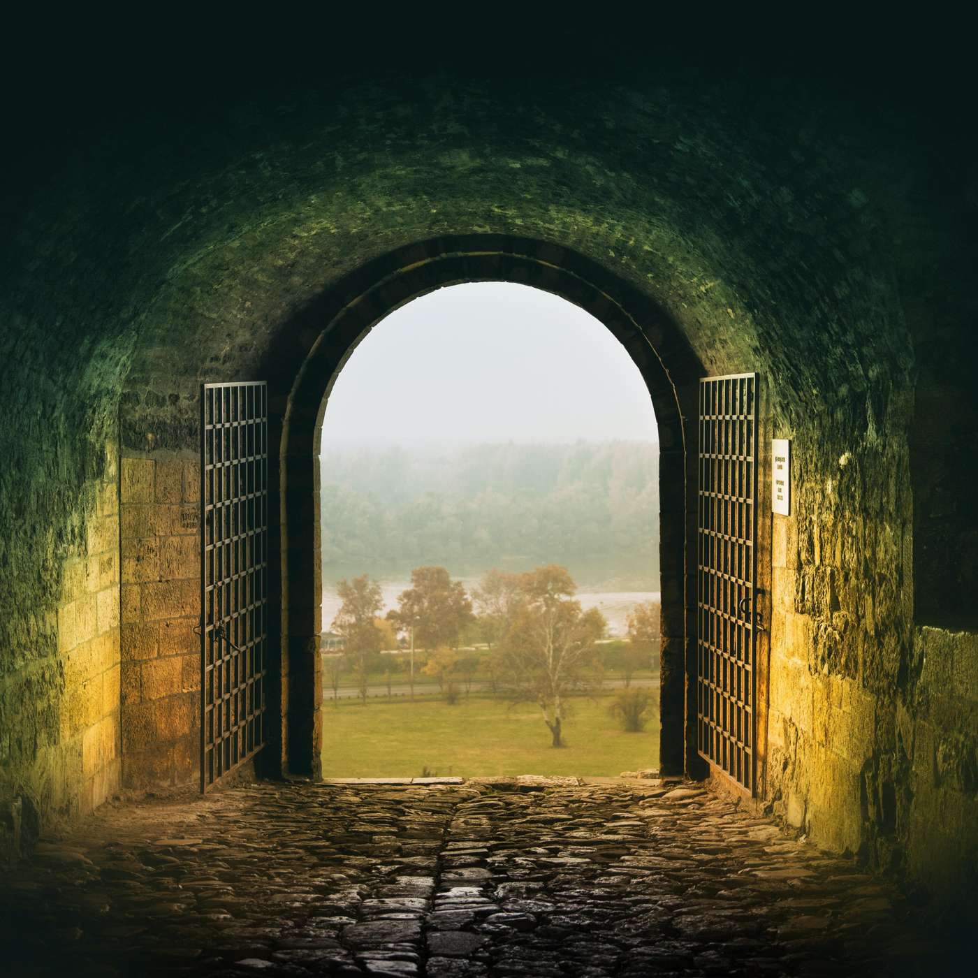 Ep. 48 - End Times? Or OUR Time? It's time to stop hiding behind lazy theology. episode artwork