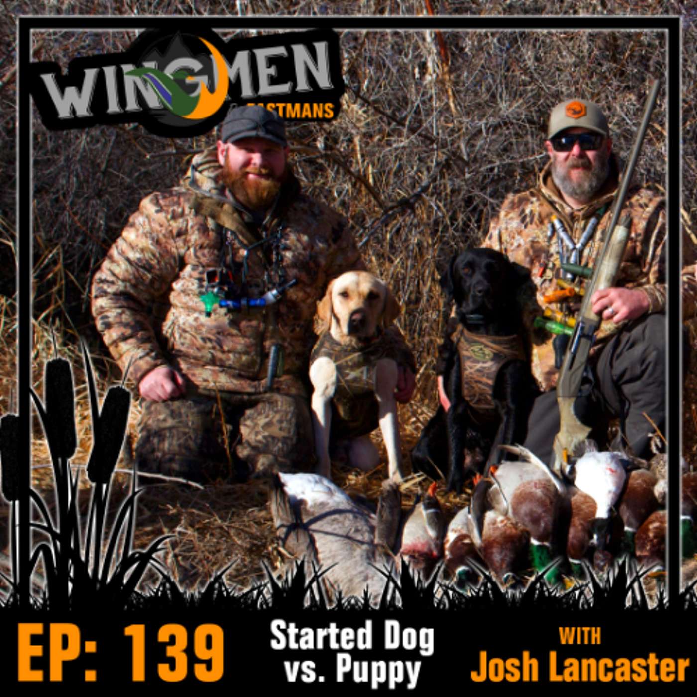 Wingmen EP 139: Started Dog vs. Puppy with Josh Lancaster episode artwork
