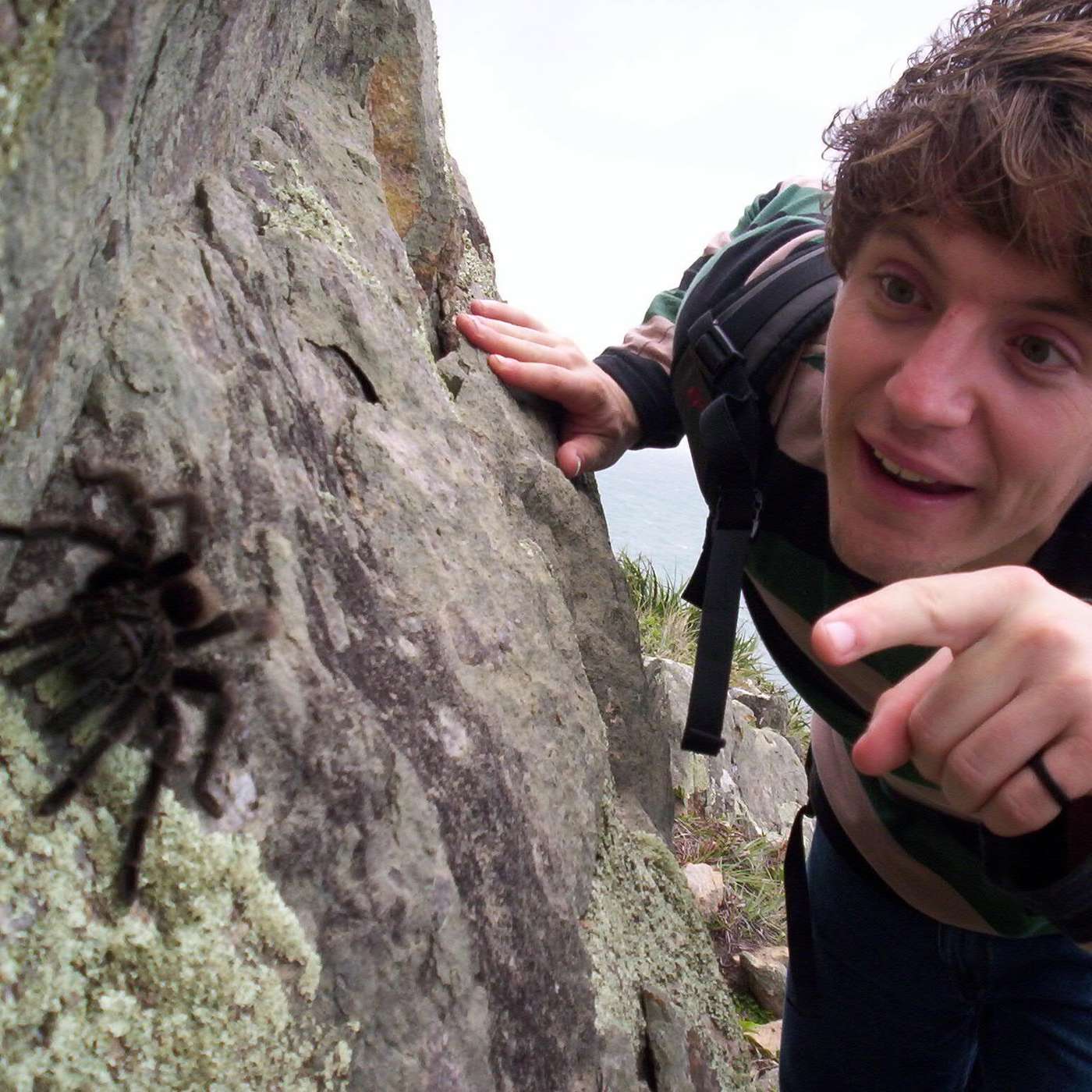 Radio Têtards - Radio Grenouille