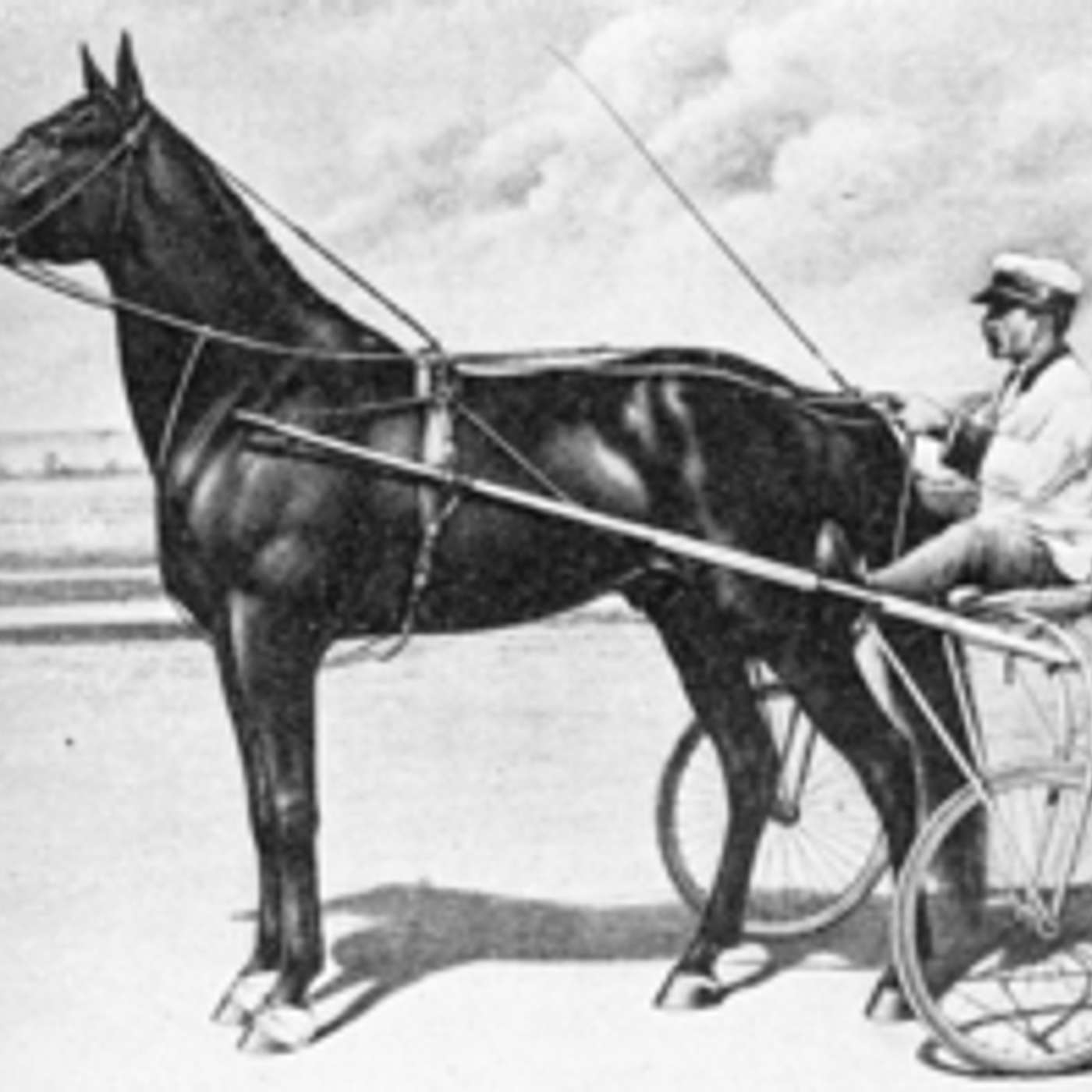 Dan Patch Breaks the World Record episode artwork