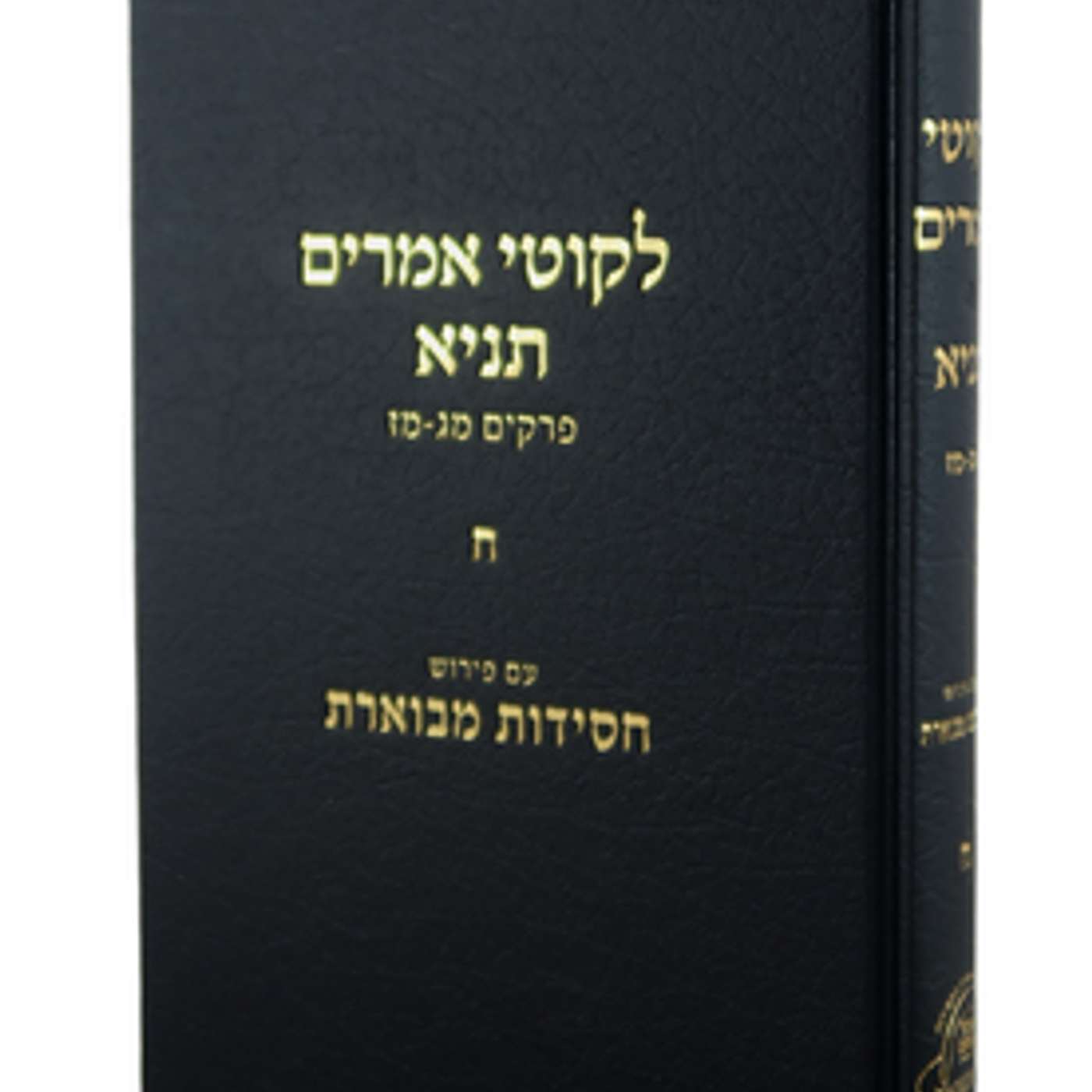 Discussions in Tanya with Rabbi Dovid Faiden podcast artwork