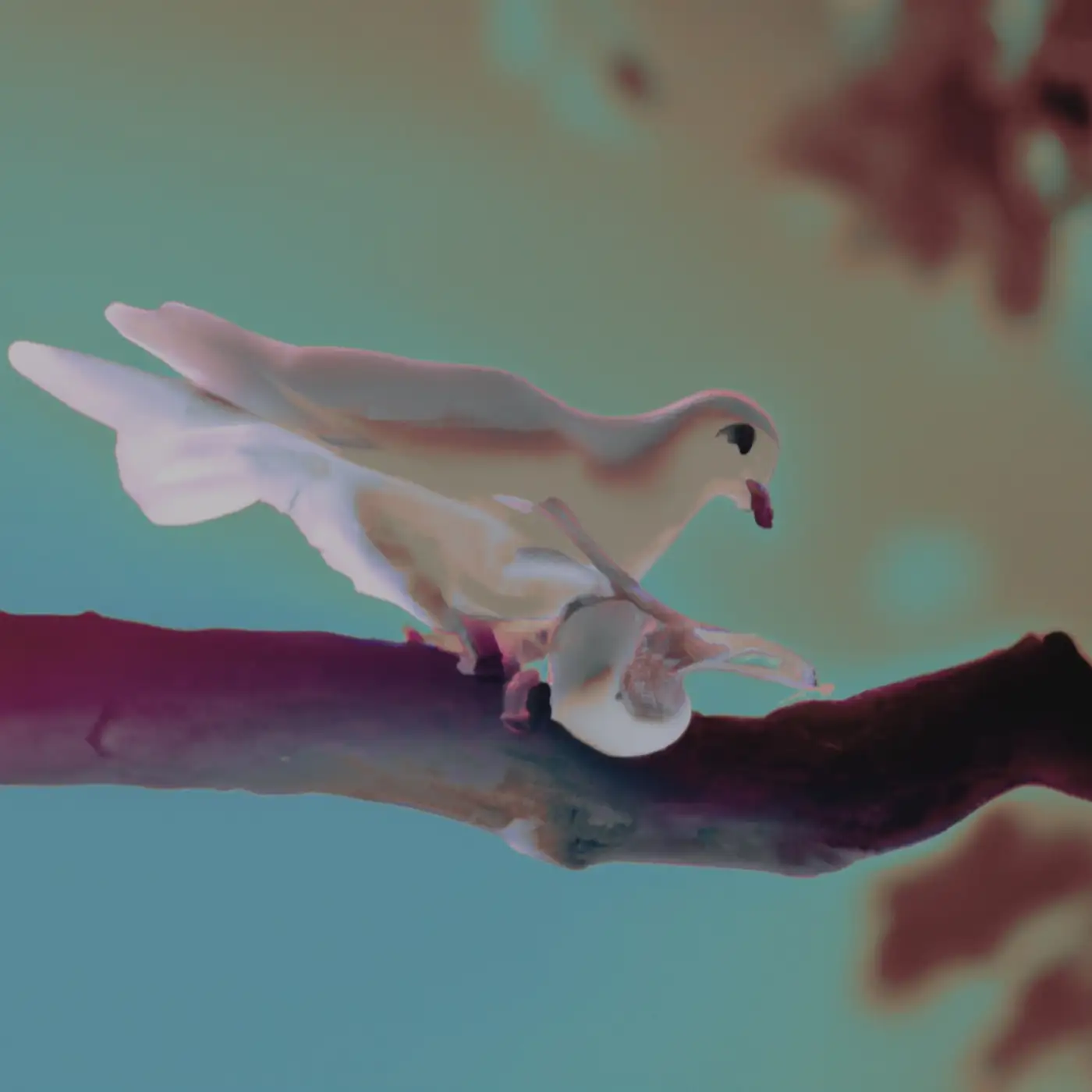 Imagine A World: What if some people could live forever?