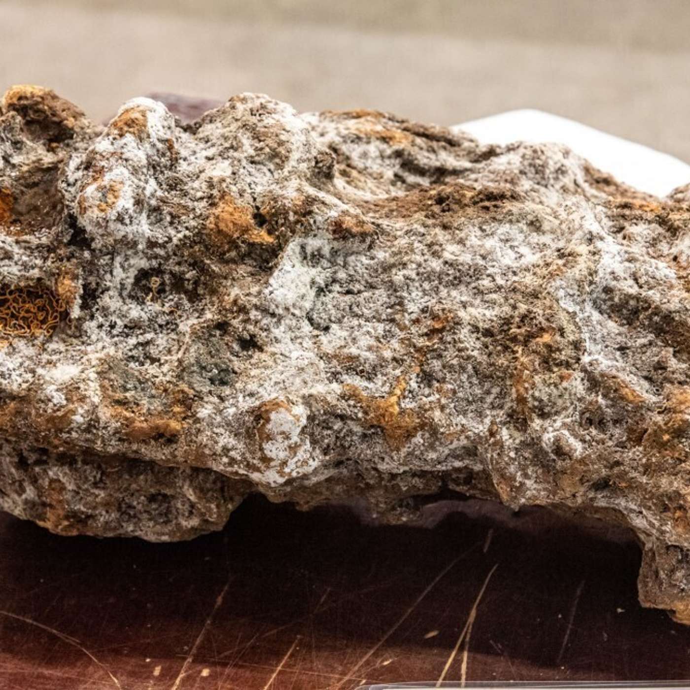 Ученые: глубоководная добыча полезных ископаемых может усиливать изменение климата