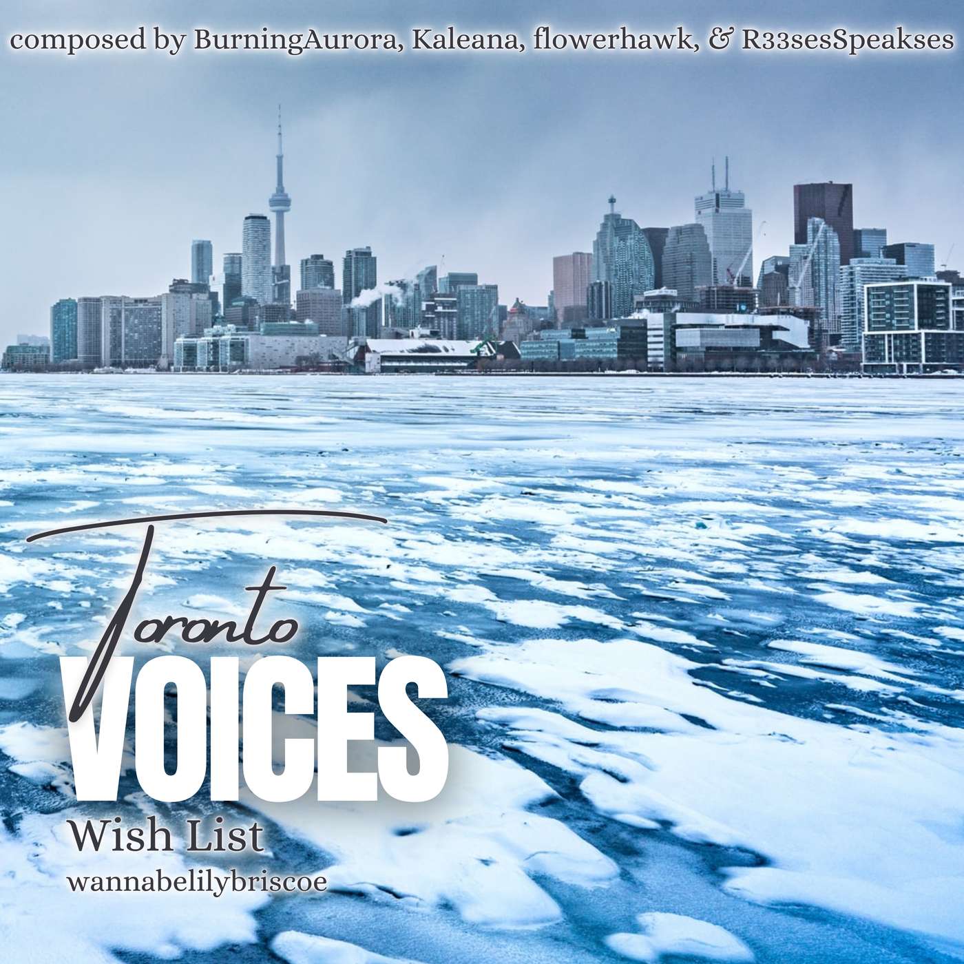 Wish List by wannabelilybriscoe