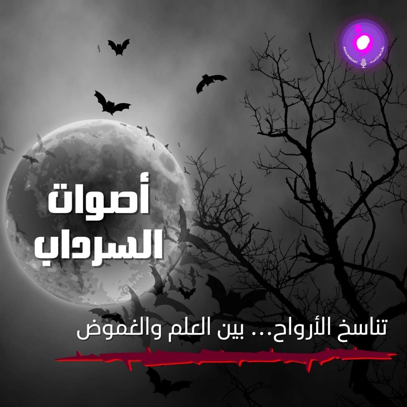 تناسخ الأرواح… بين العلم والغموض