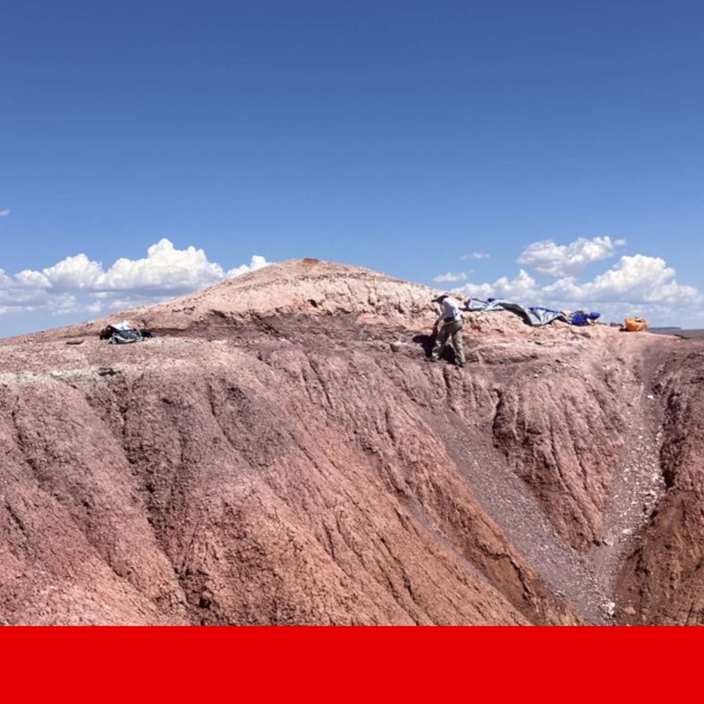 Gastric Cancer Surge Alarms Experts, Oldest Pterosaur Found in Arizona, Melting Glaciers May Ignite Volcanoes, Einstein Probe Discovers Star Mysteries, and more...