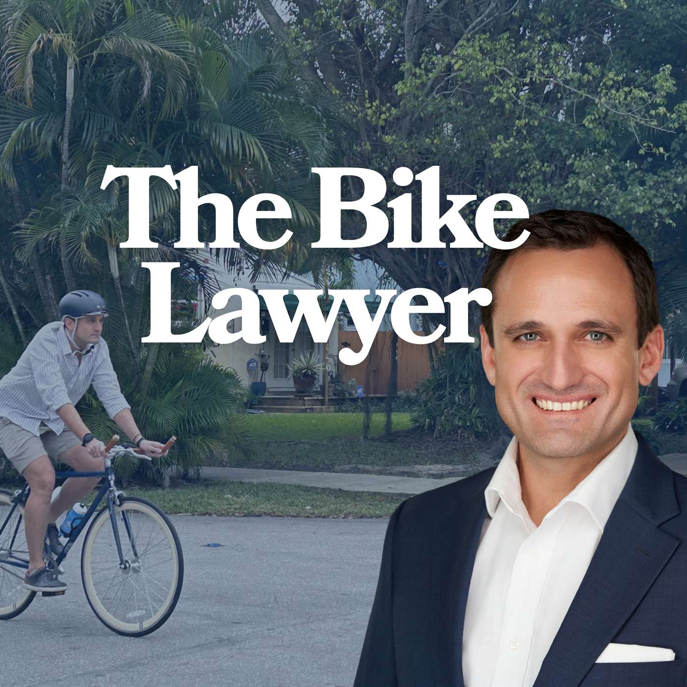 The Bike Lawyer cover art