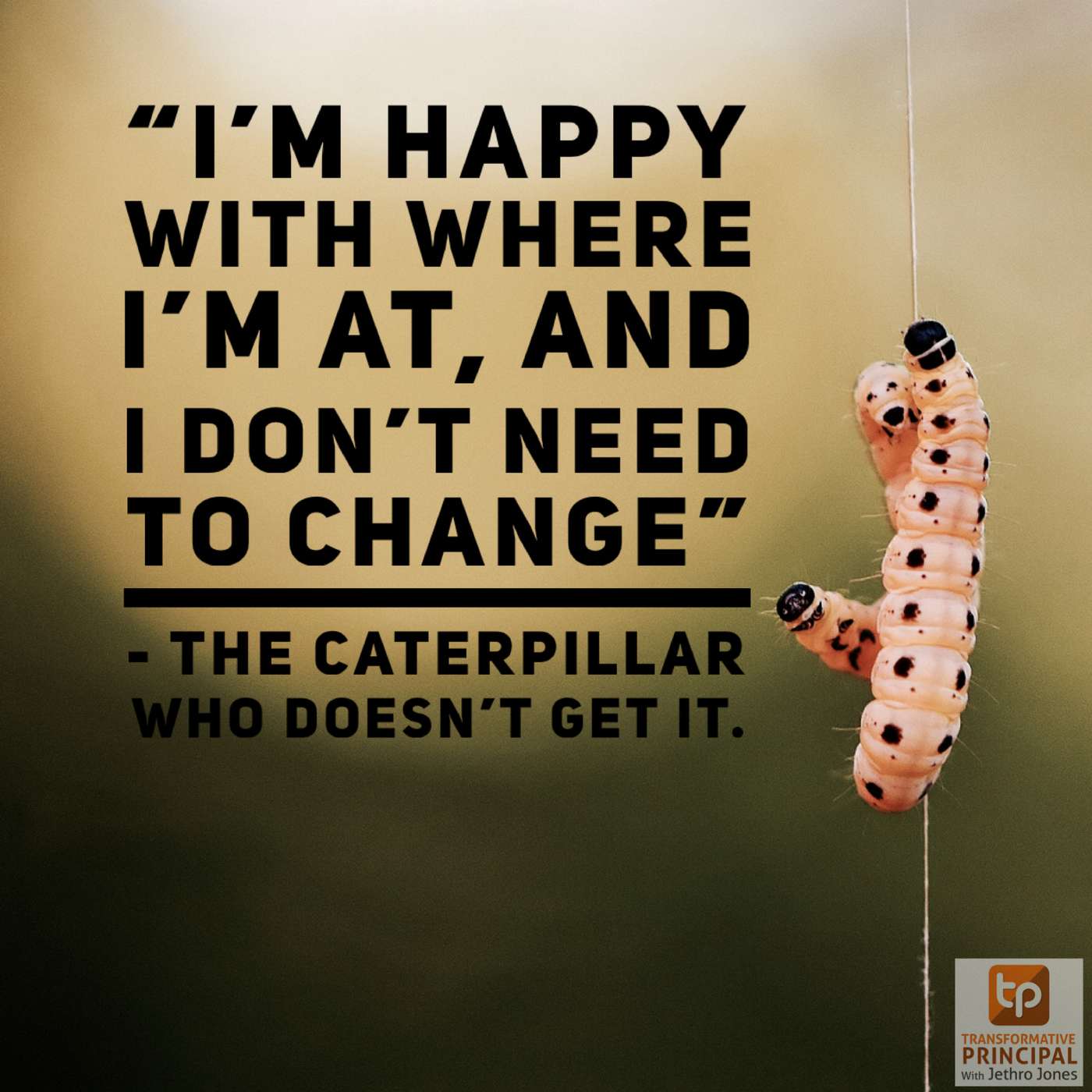 Transformative Principal