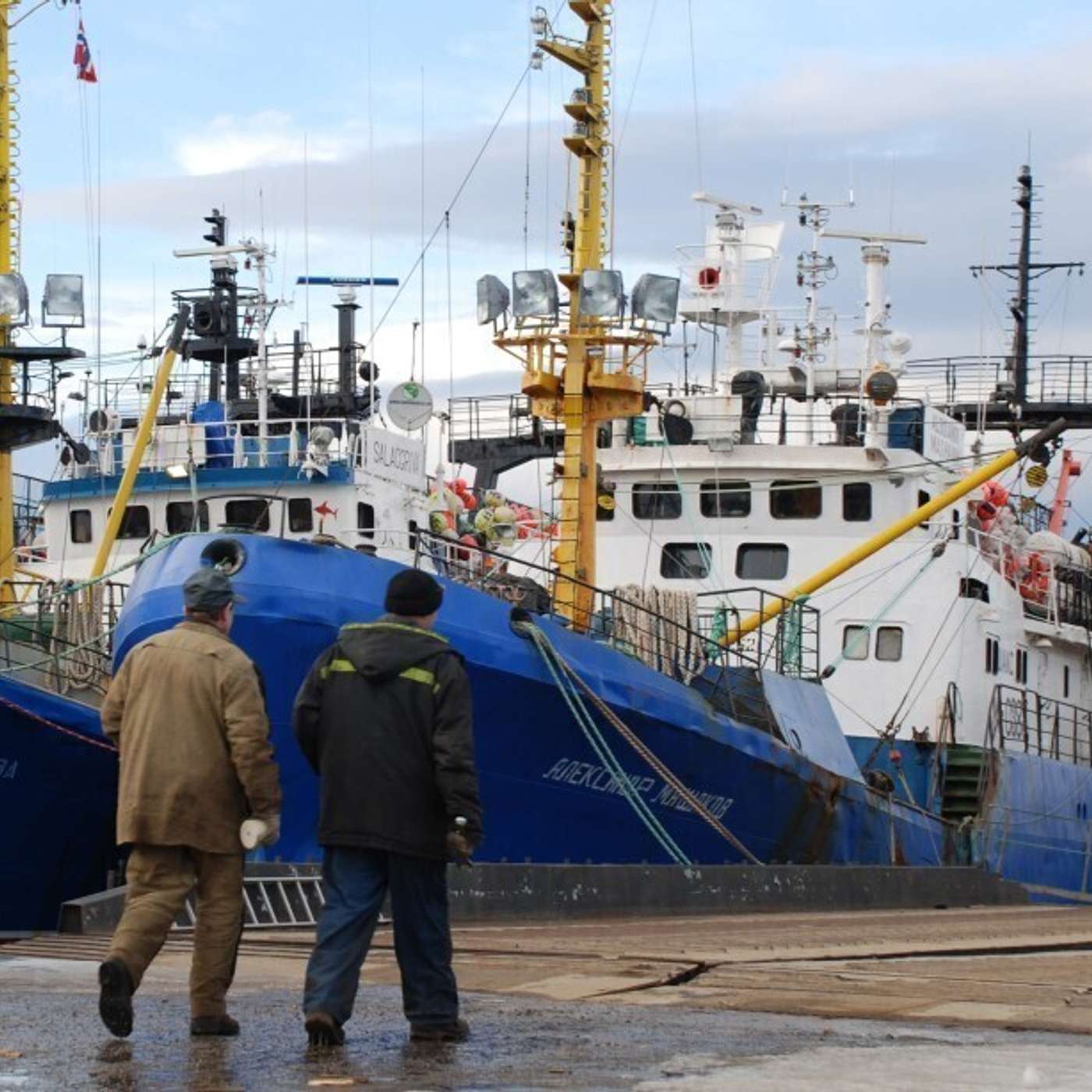 Норвегия закрывает морские порты и границу для российских грузоперевозчиков