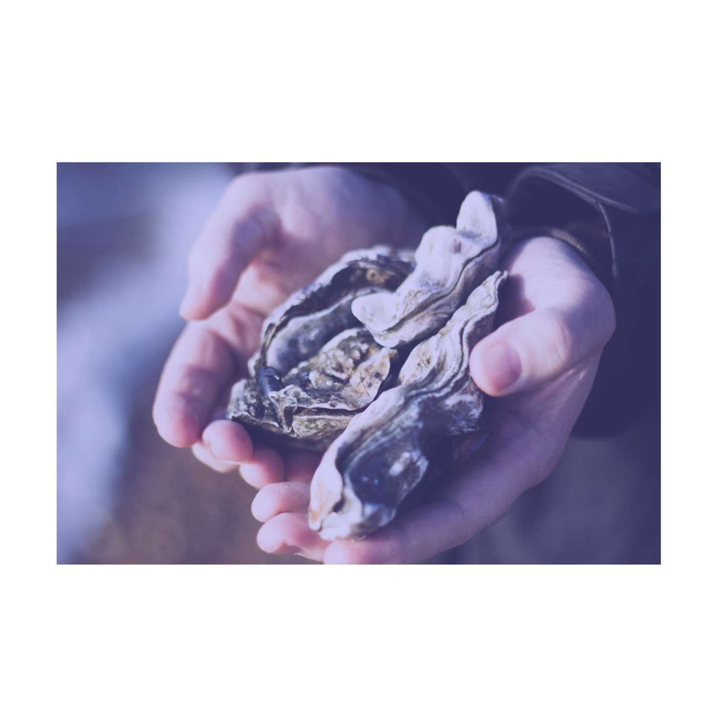 #16: British Food Part 1 - Oysters