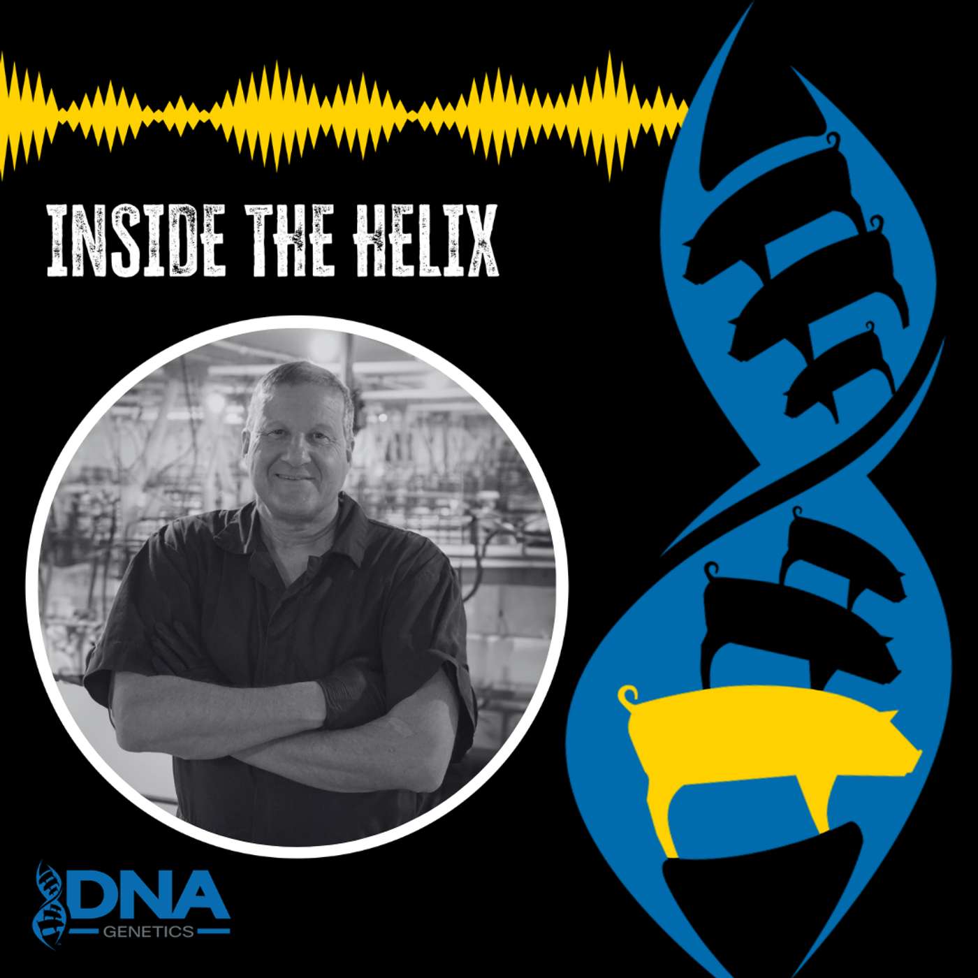 The Engine that Drives Your Herd: How To Maximize Your Gilt Development episode artwork