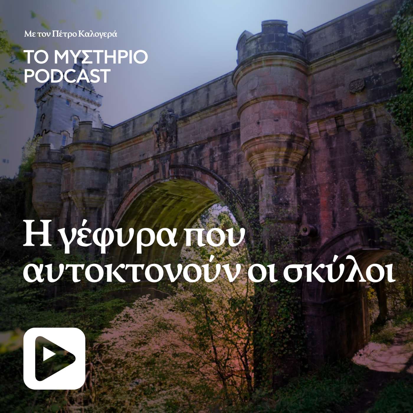 Η γέφυρα που αυτοκτονούν οι σκύλοι