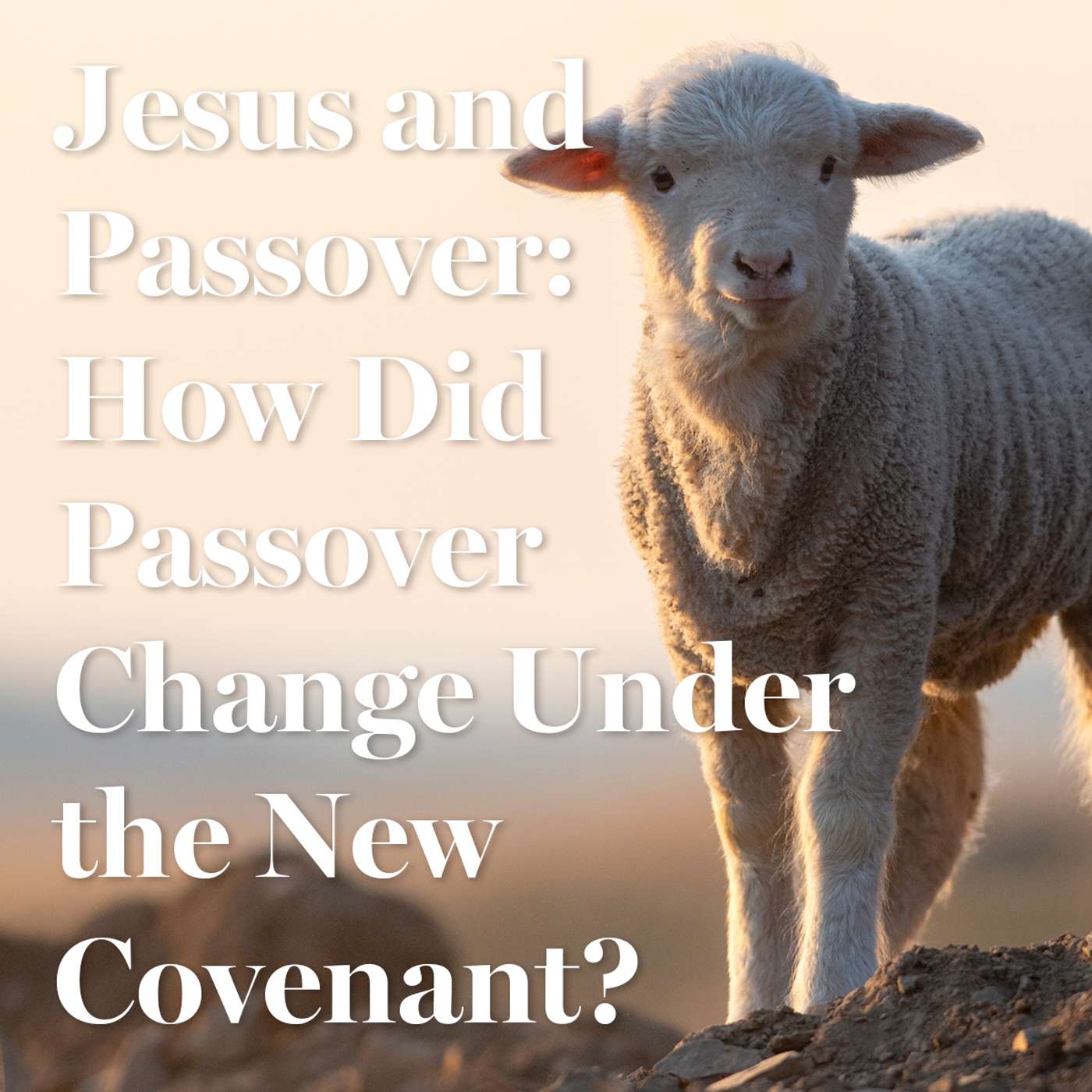 Jesus and Passover: How Did Passover Change Under the New Covenant? episode artwork