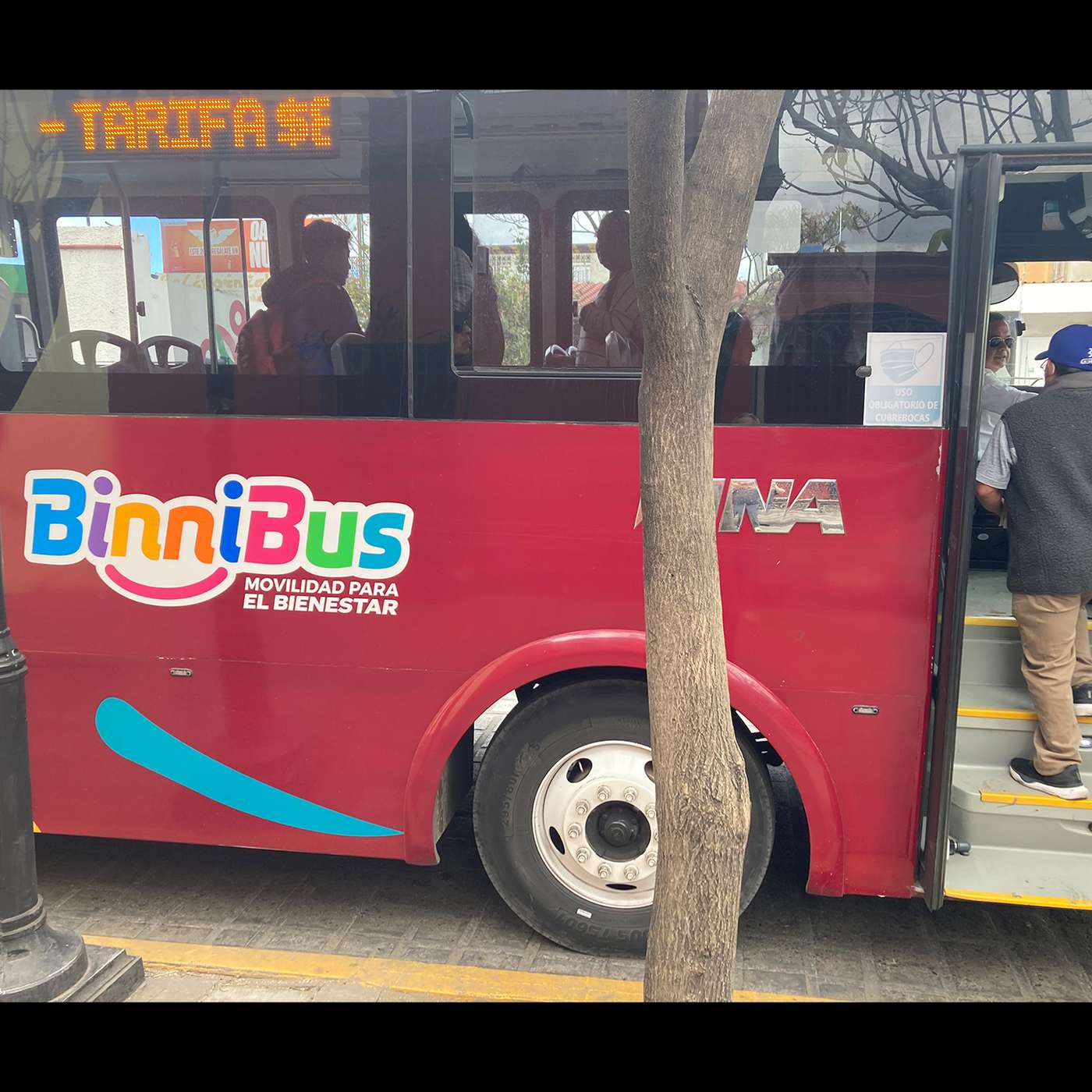 A Miniature World with Binnie Klein