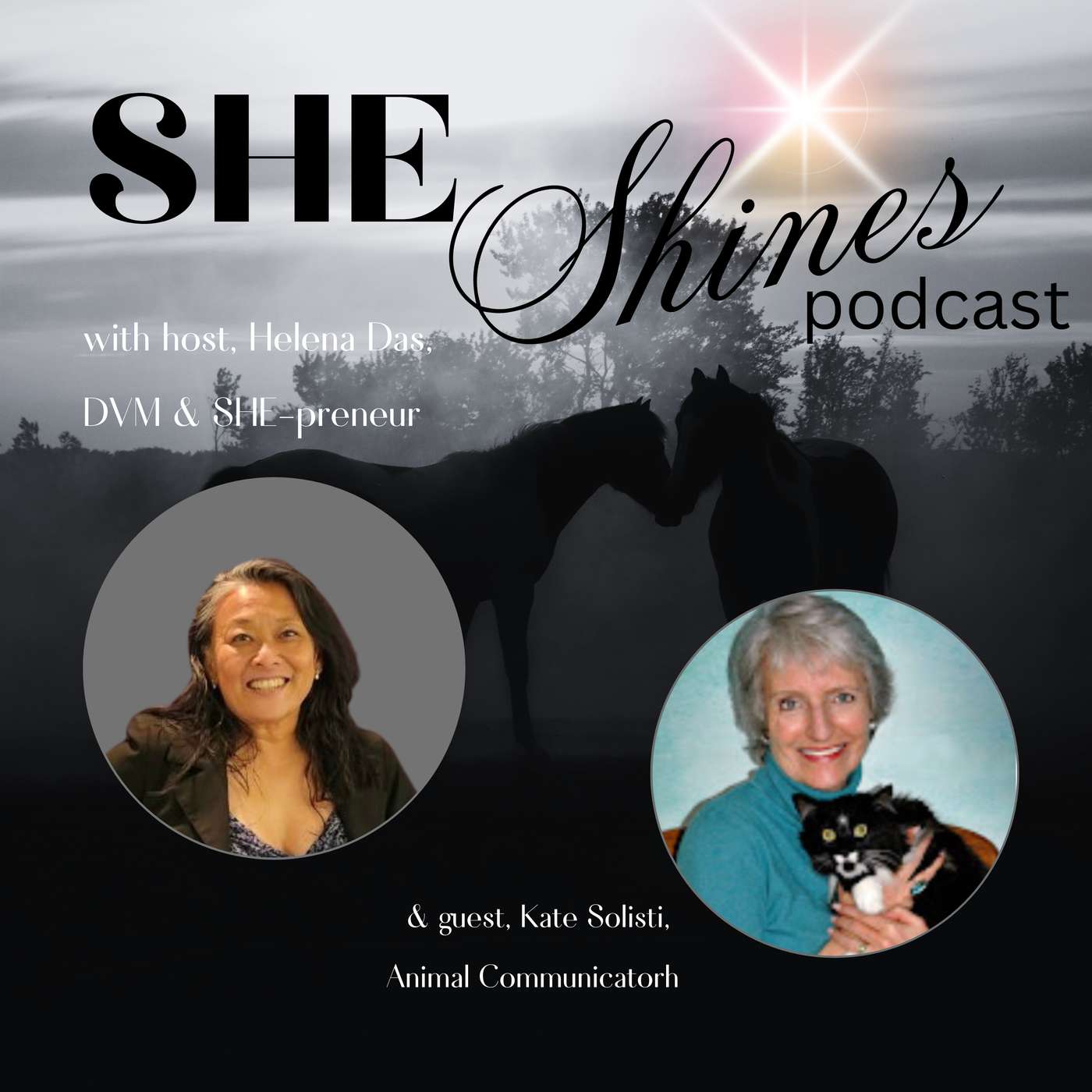 DARK HORSE Shines, a sacred portal to remembering your magic 🐎 🌟 🖤