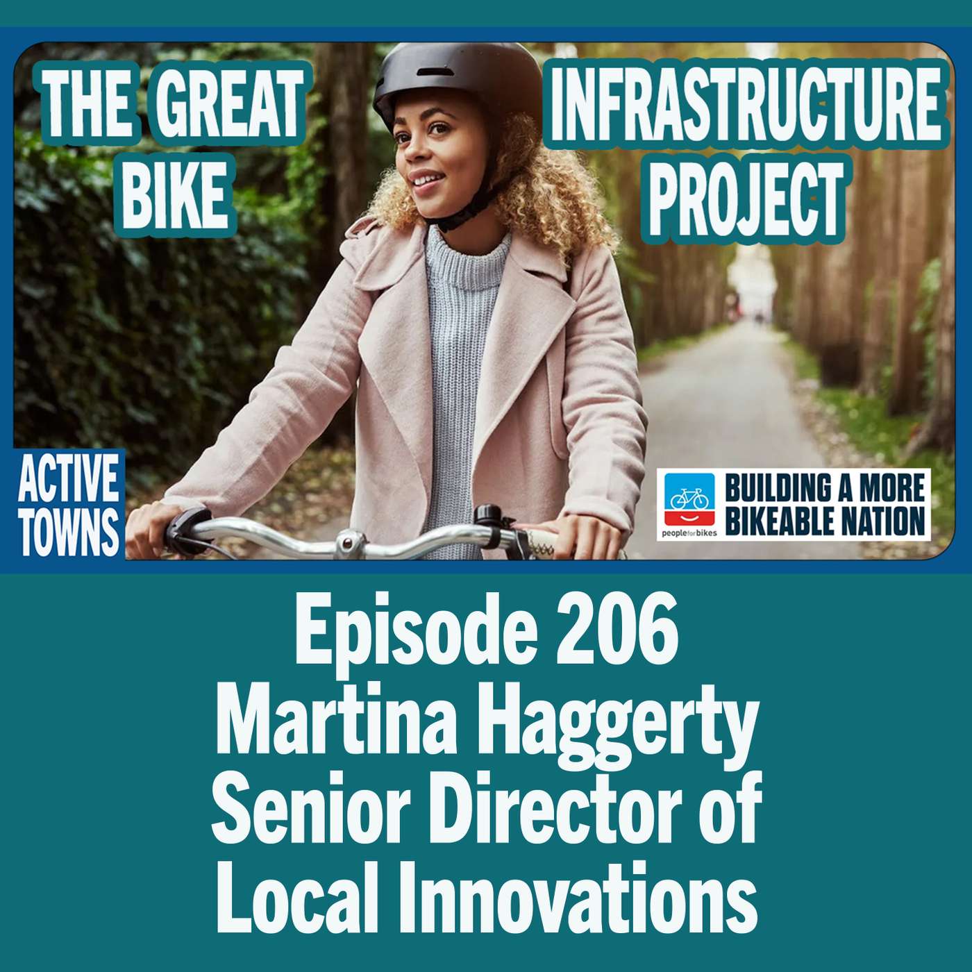 The Great Bike Infrastructure Project w/ Martina Haggerty (video available)