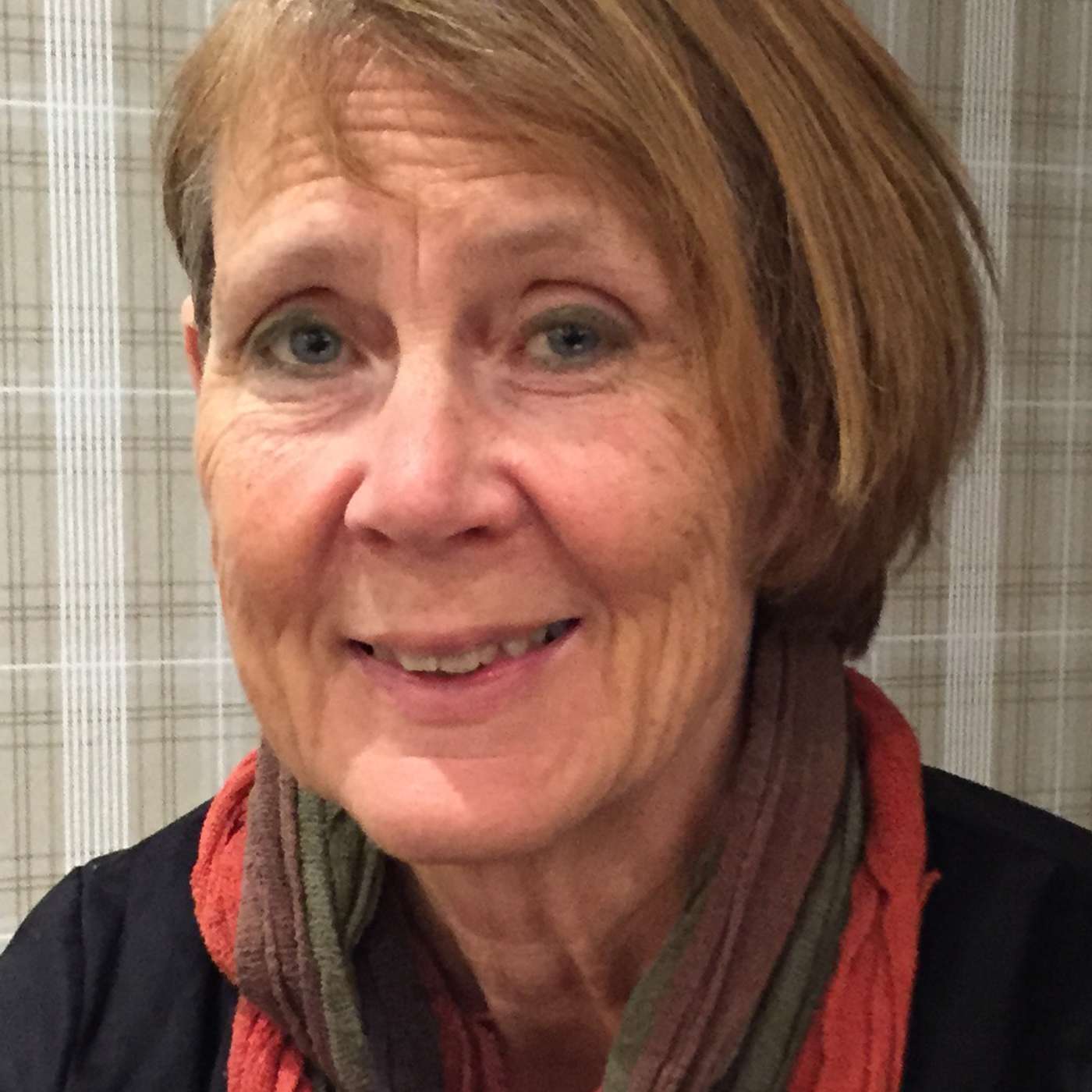 Perspektiver - på barnehagefaglige fenomener