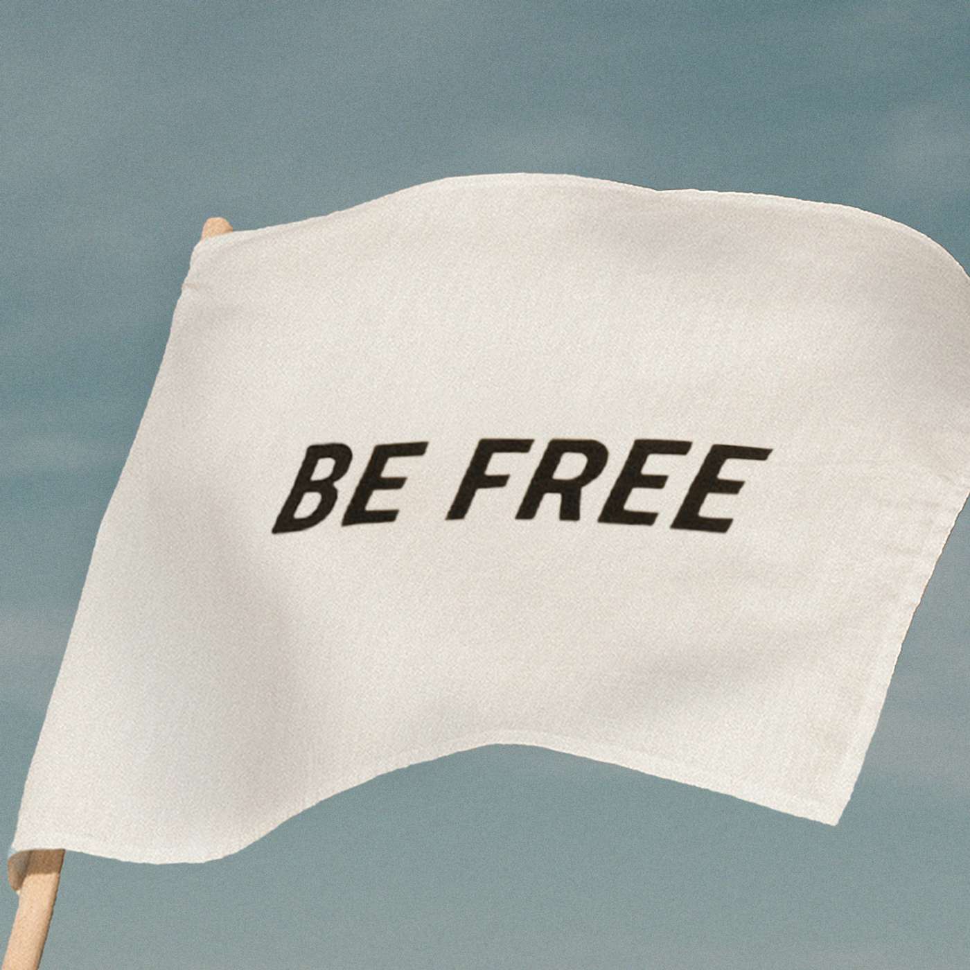 Free from Lies - Part 2 of Be Free episode artwork