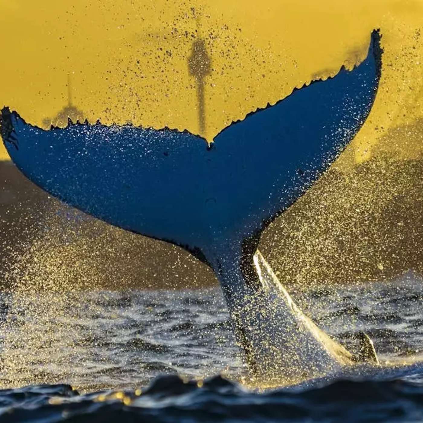 MiCO Reveals Marine Migration Patterns, HIV Drugs Show Alzheimer's Promise, AI Designs Synthetic DNA Breakthrough, Study Shows Learning Rewires Brain, and more...