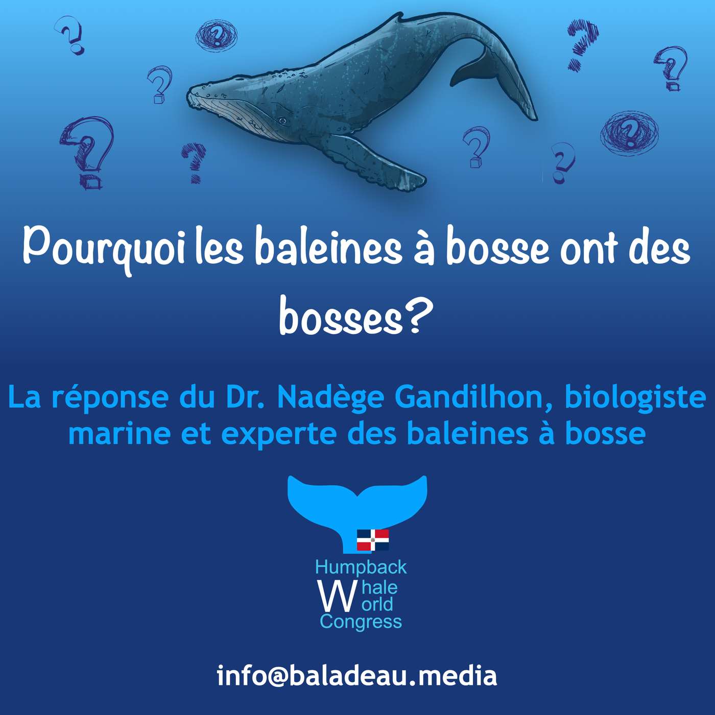 Vignette de l’épisode Pourquoi les baleines à bosse ont des bosses?