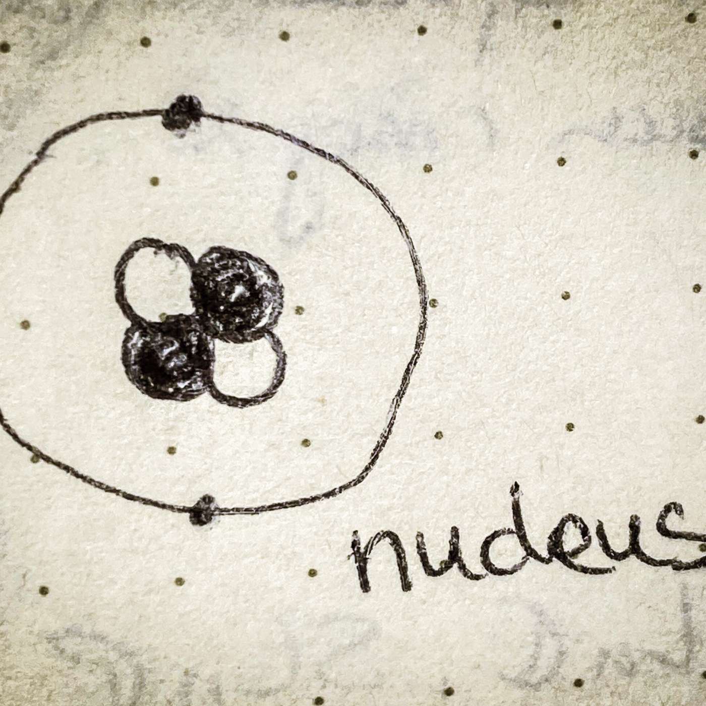 The Field Guide to Particle Physics