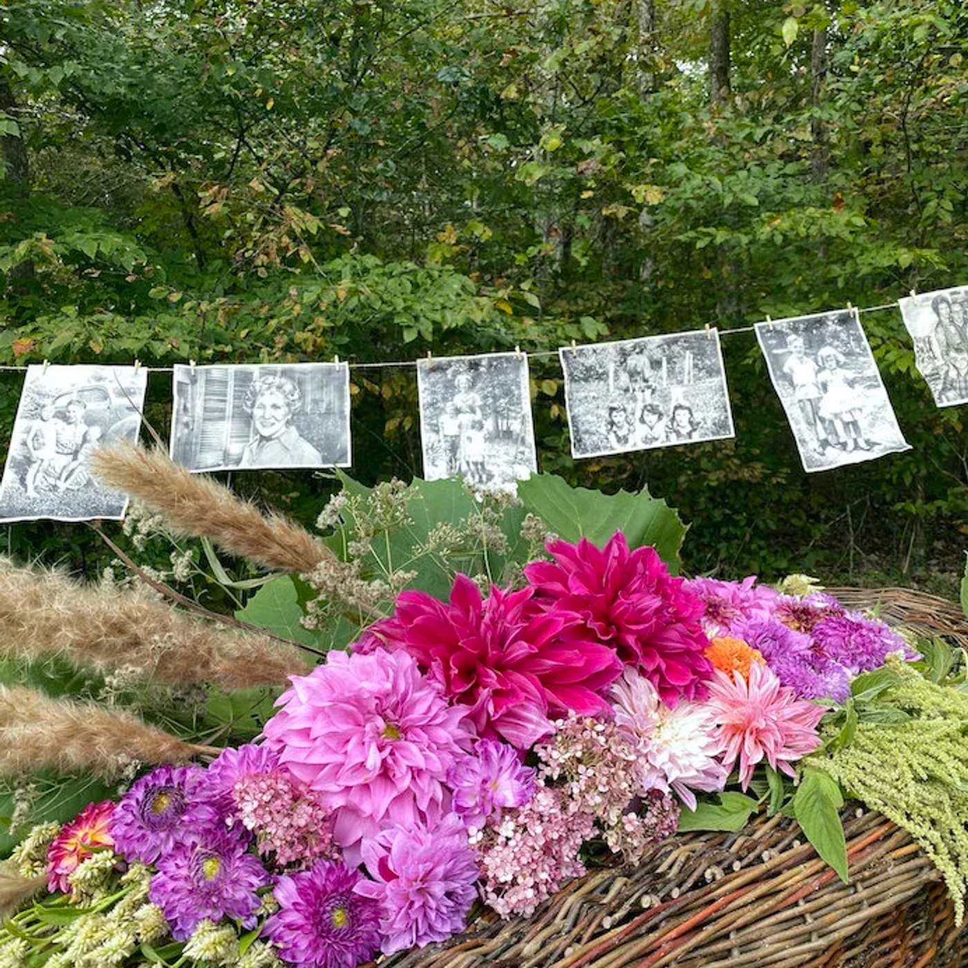 John Christian Phifer: Natural Burial and Conservation episode artwork