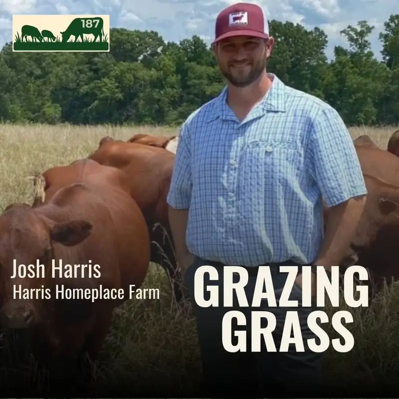 187. Raising South Poll Cattle & Direct-to-Consumer Beef with Josh Harris