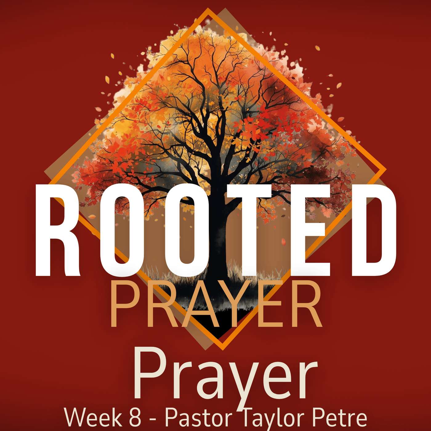 Rooted | Prayer | Week 8