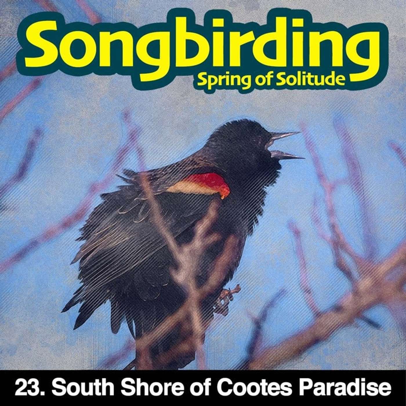 Songbirding