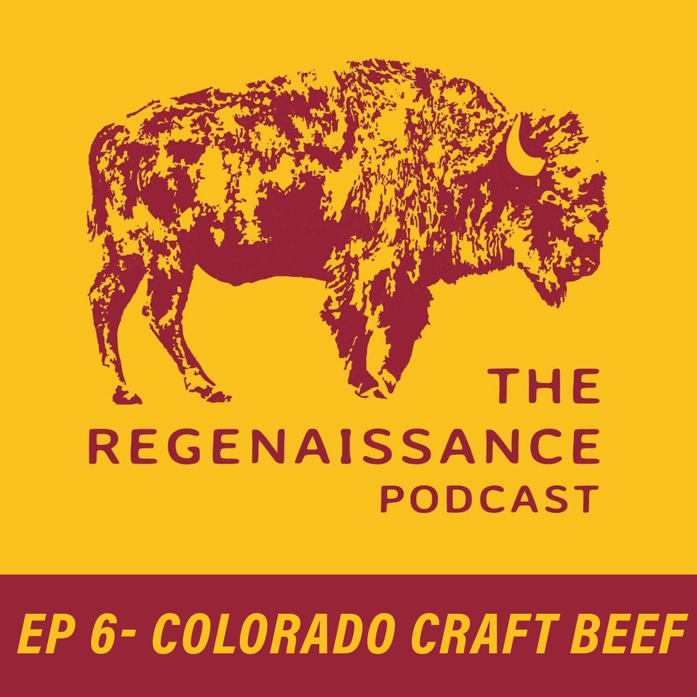 The Regenaissance Podcast