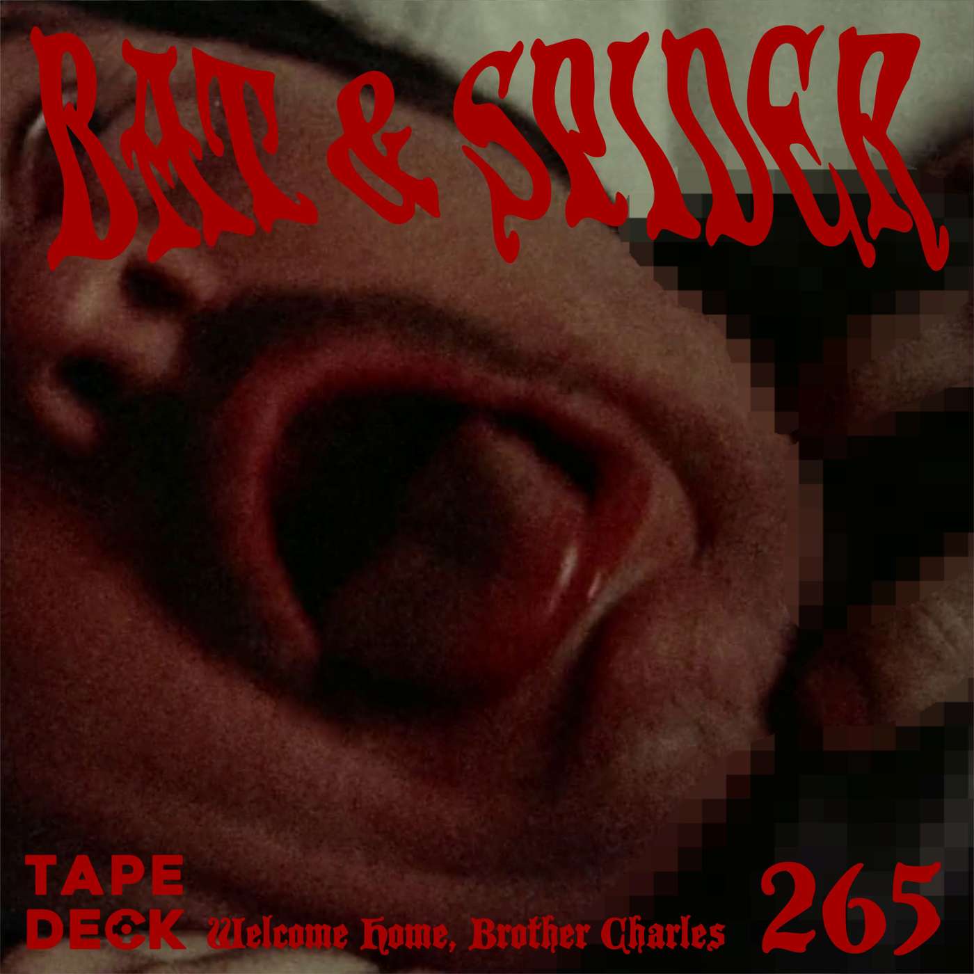 265 WELCOME HOME, BROTHER CHARLES