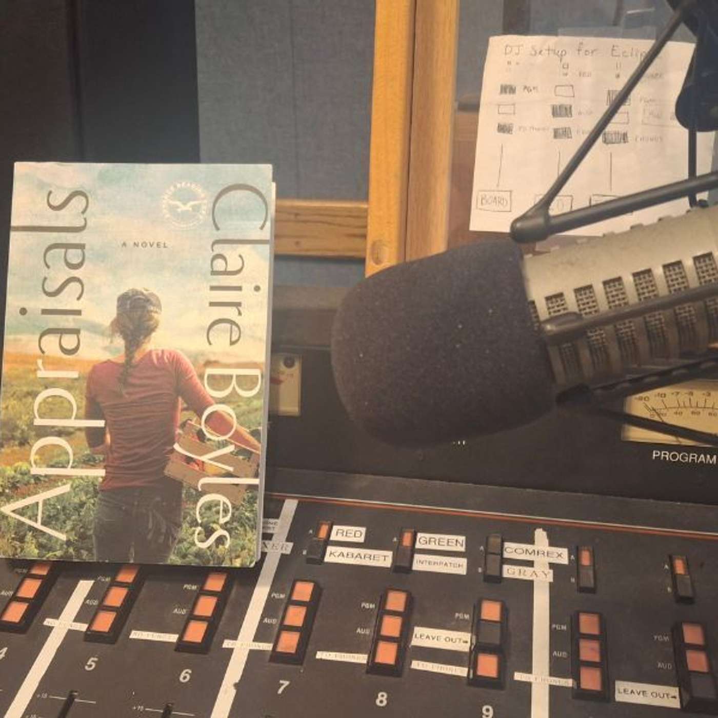 Afterhours at the Radio Book Club: Claire Boyles episode artwork