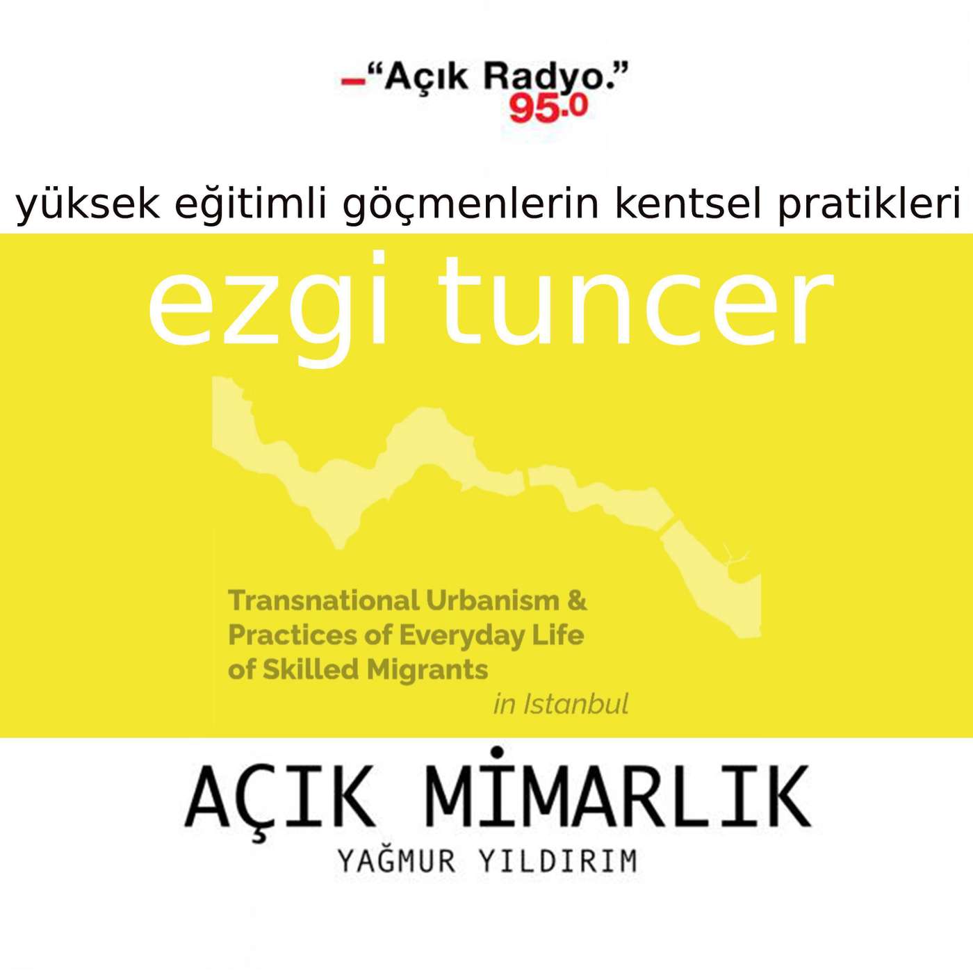 İstanbul’daki yüksek eğitim göçmenlerin kentsel pratikleri