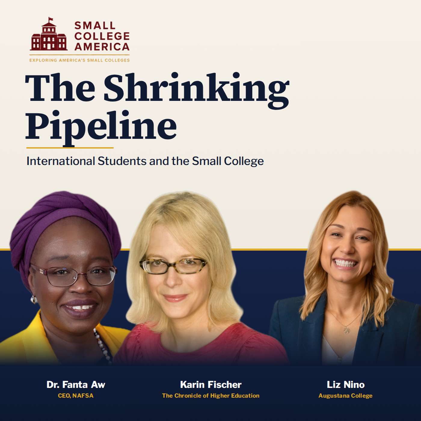 The Shrinking Pipeline: International Students and the Small College