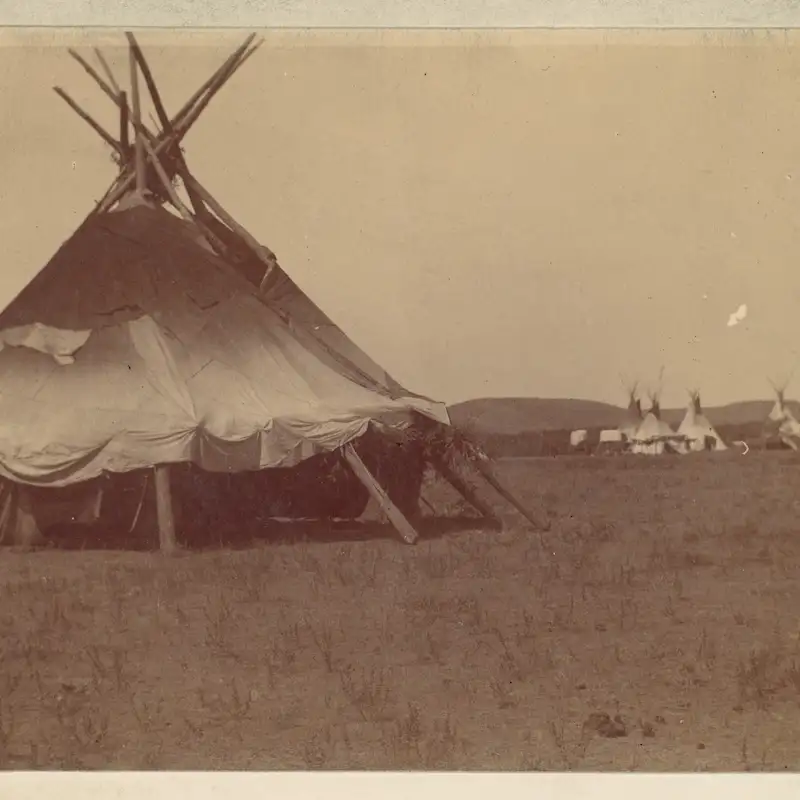 Ask the Native Americans