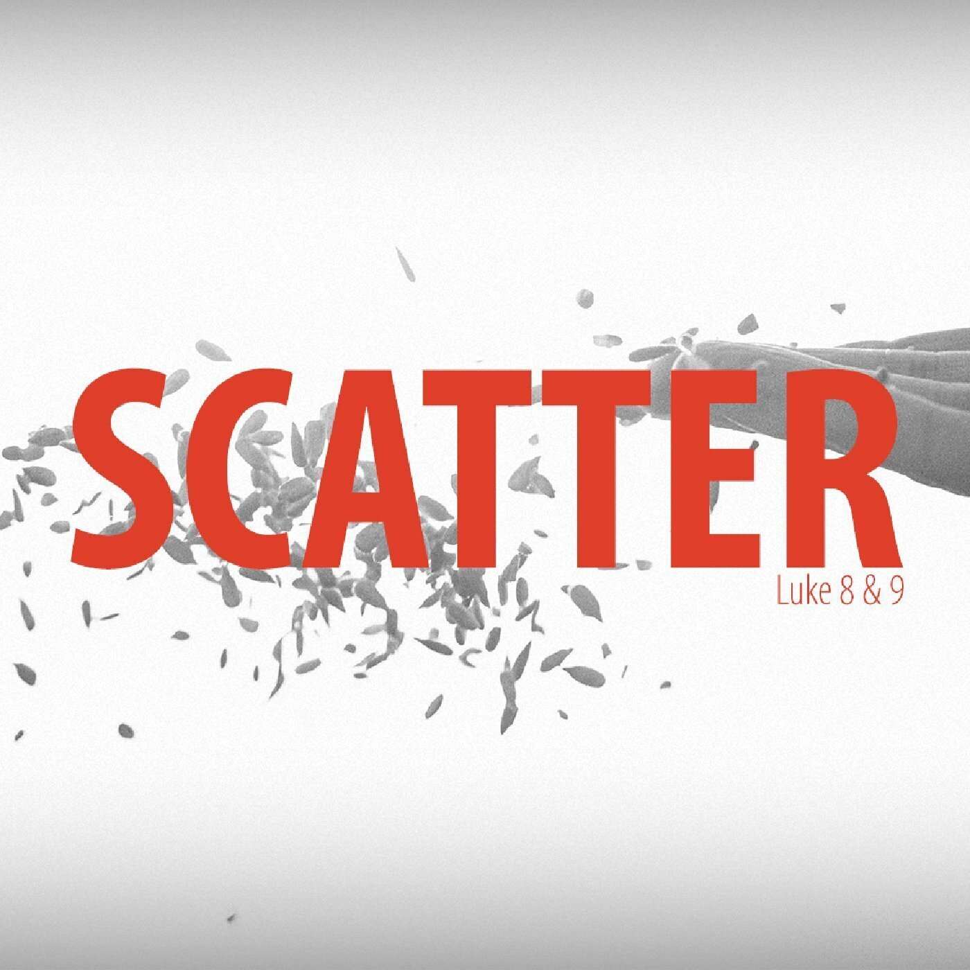 Wheaton Bible Church