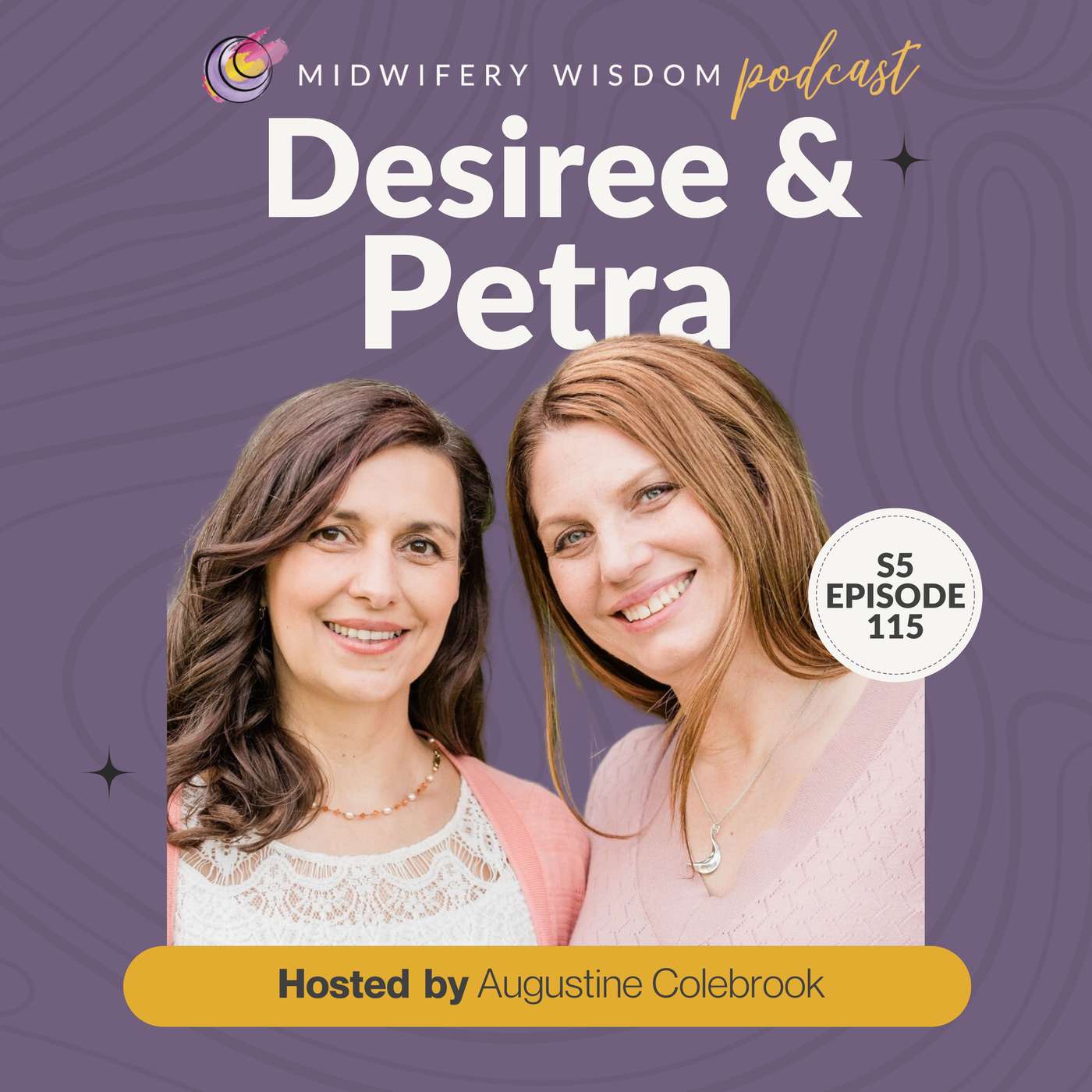 Building a Sustainable Birth Centre Partnership with Petra Prostrednik and Desiree LaFave episode artwork