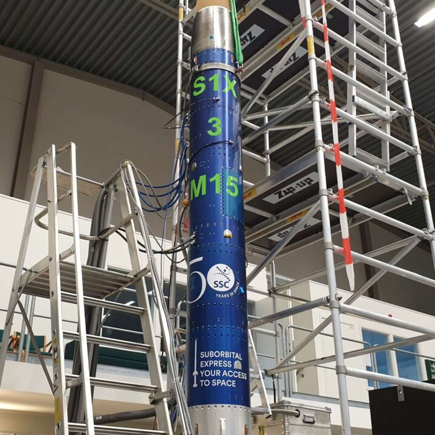 Nobel Honors T Cell Discovery, Bacillus Survives Space, CDC Urges MMR Vaccination, AI and Plasma Tech Boost Hydrogen, and more...