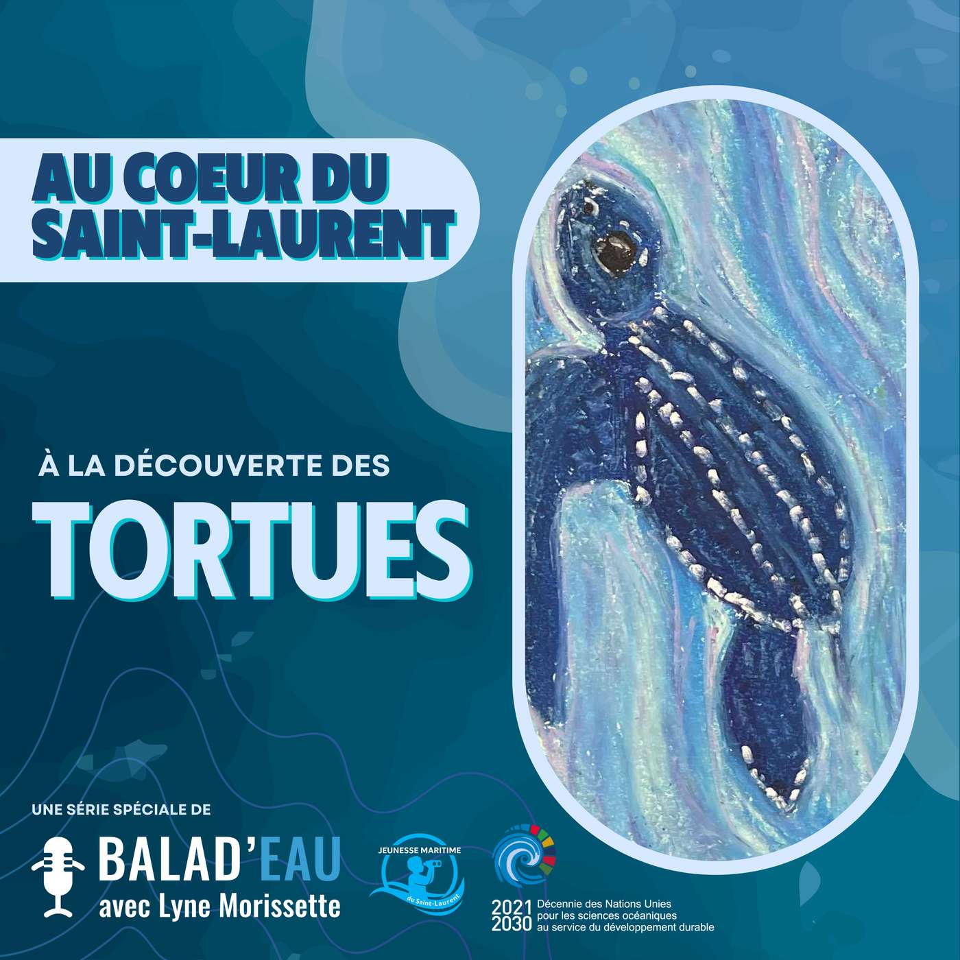 AU COEUR DU SAINT-LAURENT: à la découverte des TORTUES