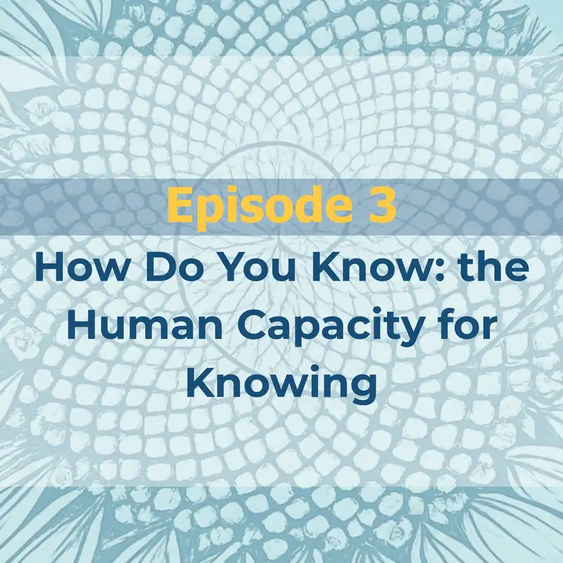 How Do You Know? The Human Capacity for Knowing