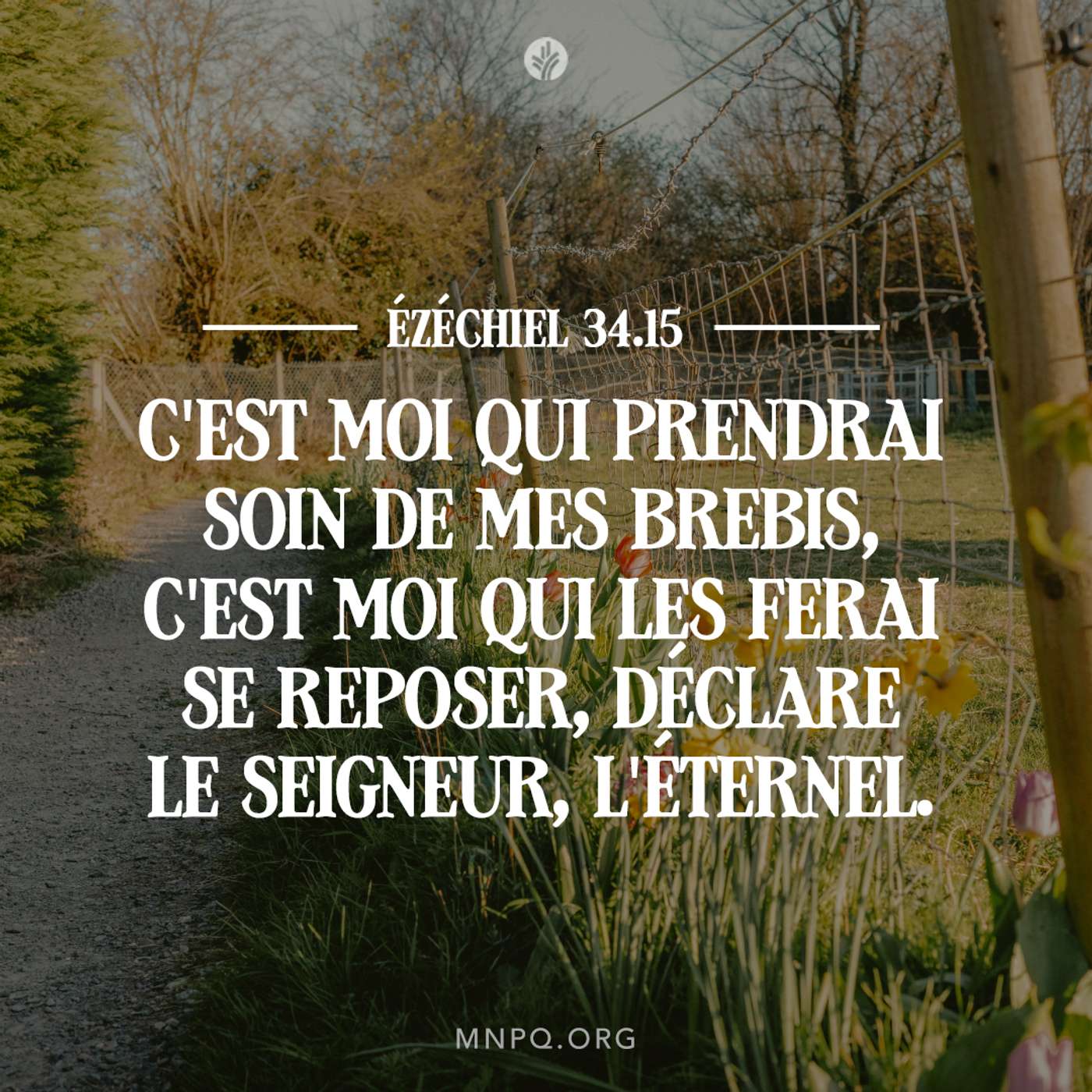 Un cœur de berger episode artwork